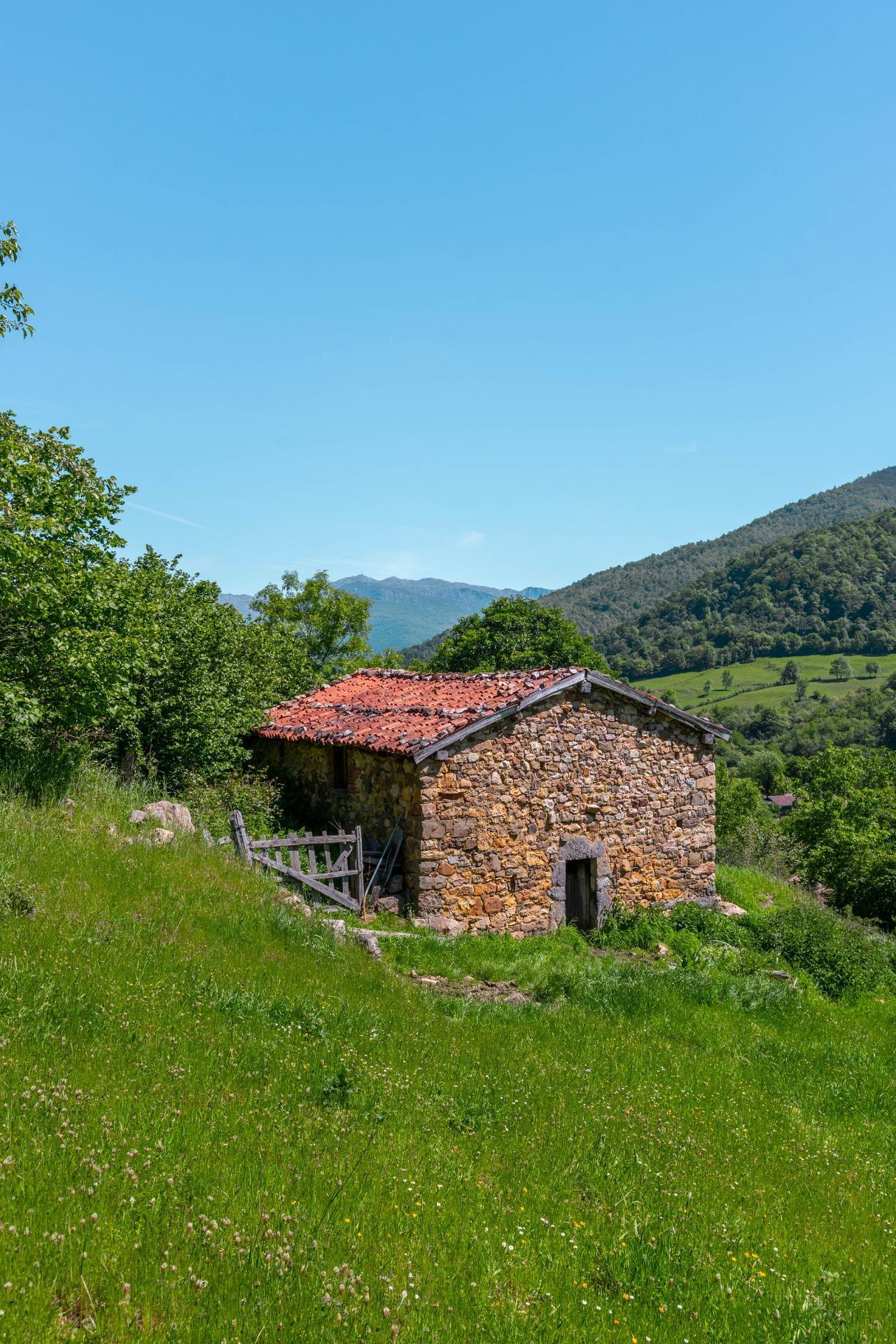 Casas o chalets-Venta-QuirÃ³s-2412077-Foto-5