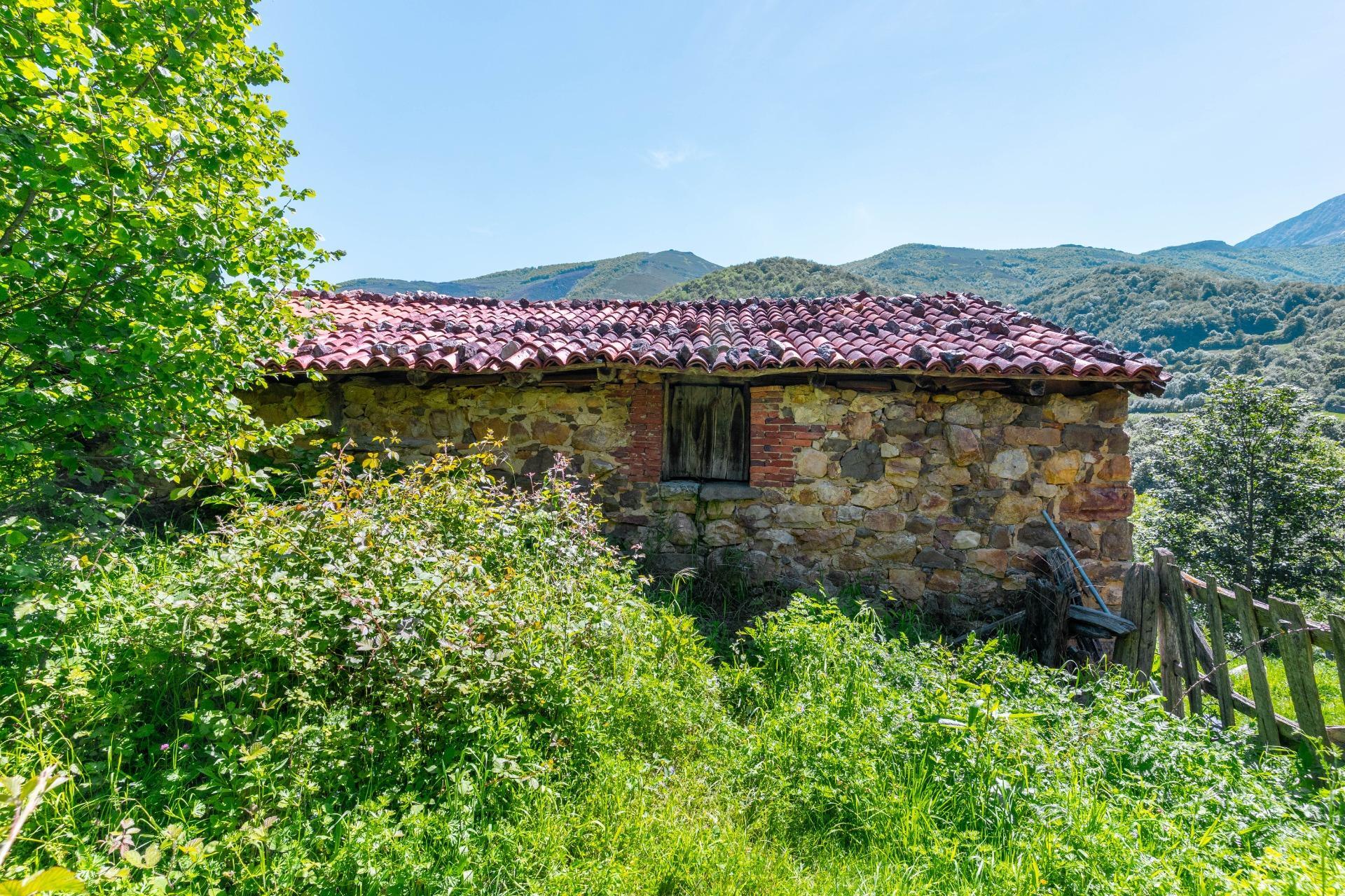 Casas o chalets-Venta-QuirÃ³s-2412077-Foto-6