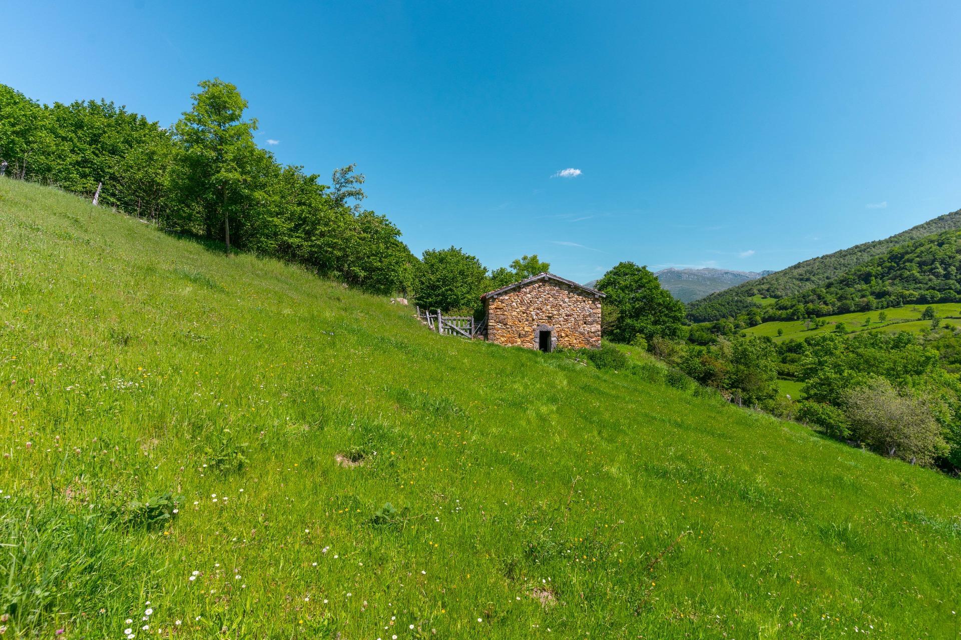 Casas o chalets-Venta-QuirÃ³s-2412077-Foto-7