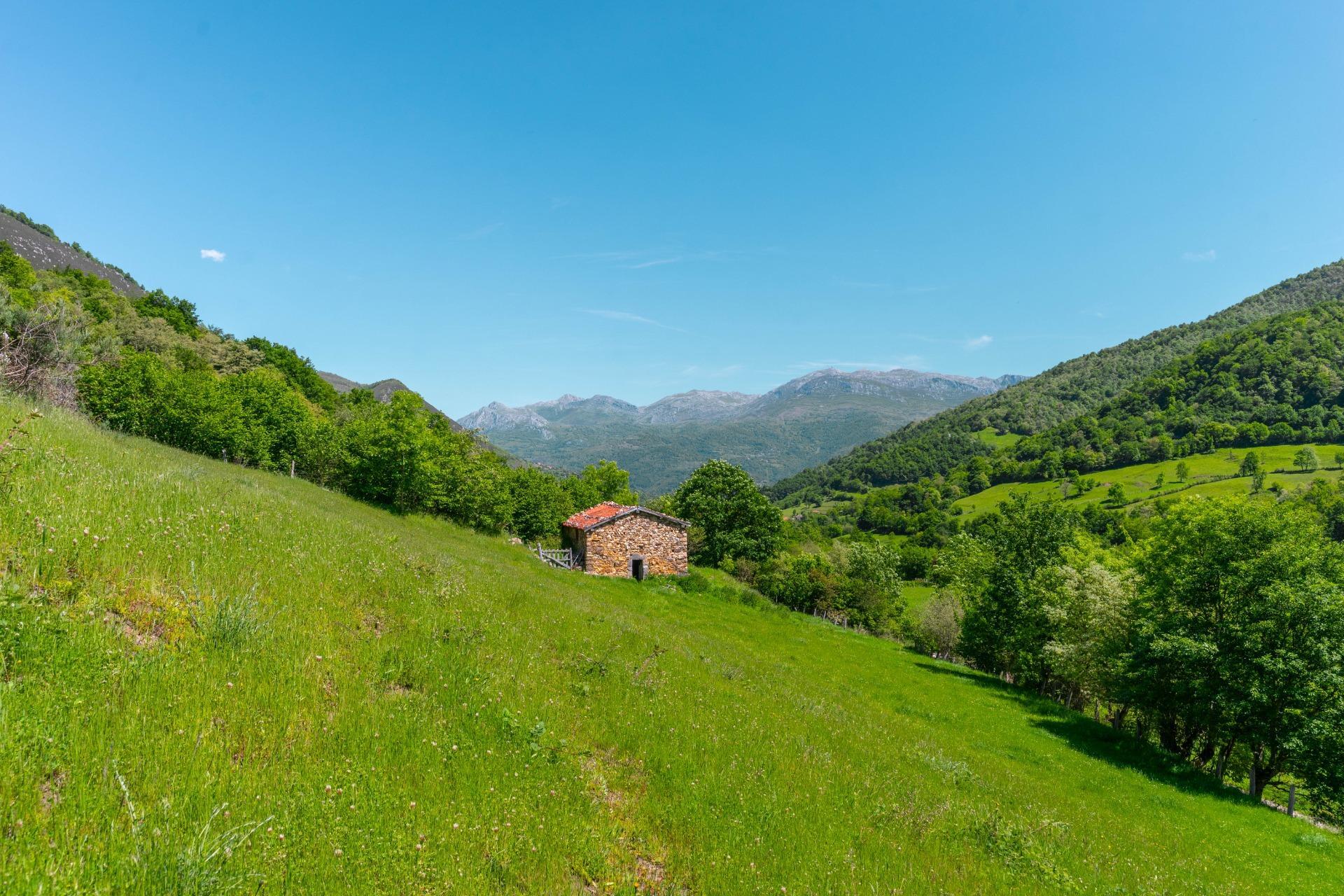 Casas o chalets-Venta-QuirÃ³s-2412077-Foto-23