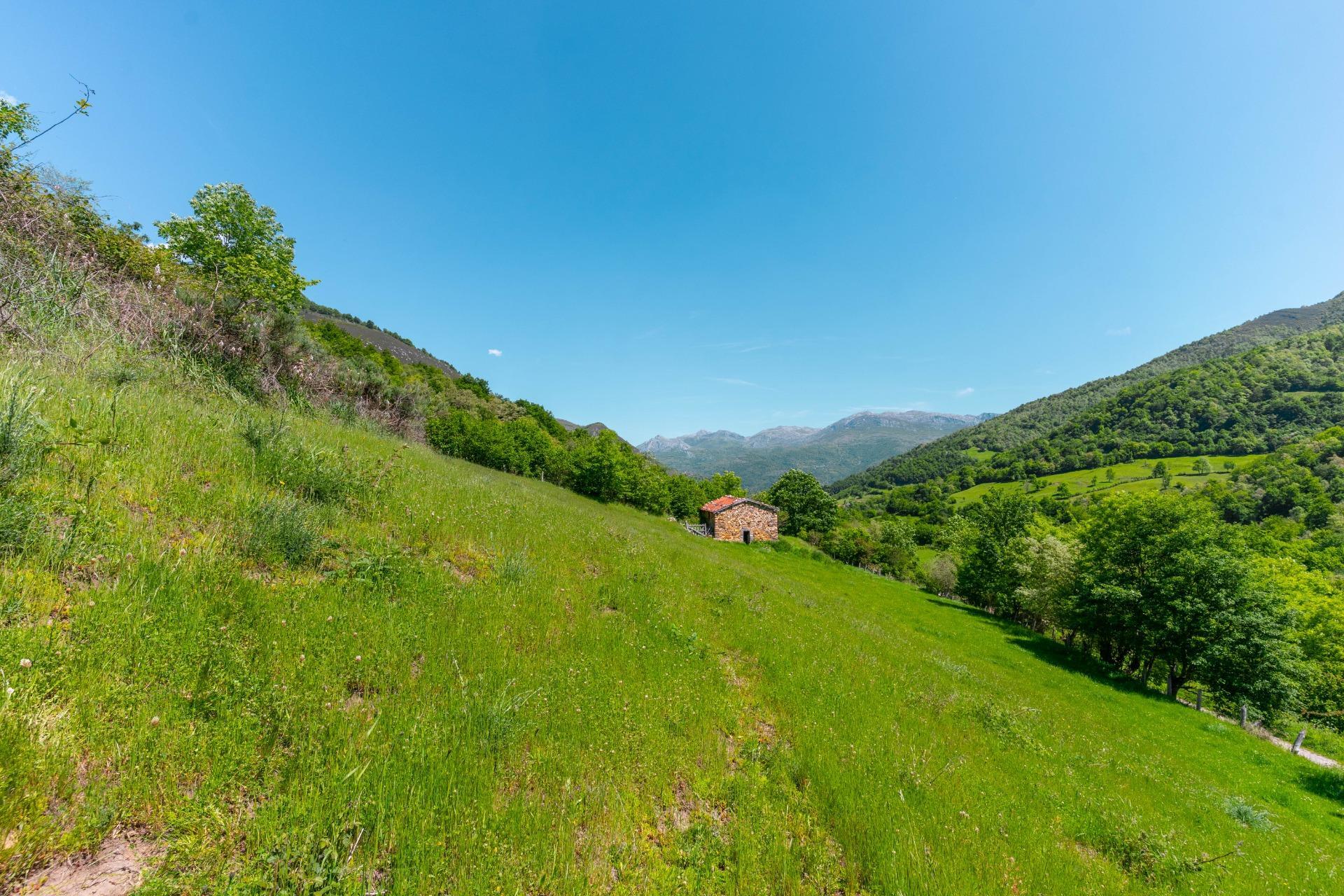 Casas o chalets-Venta-QuirÃ³s-2412077-Foto-22