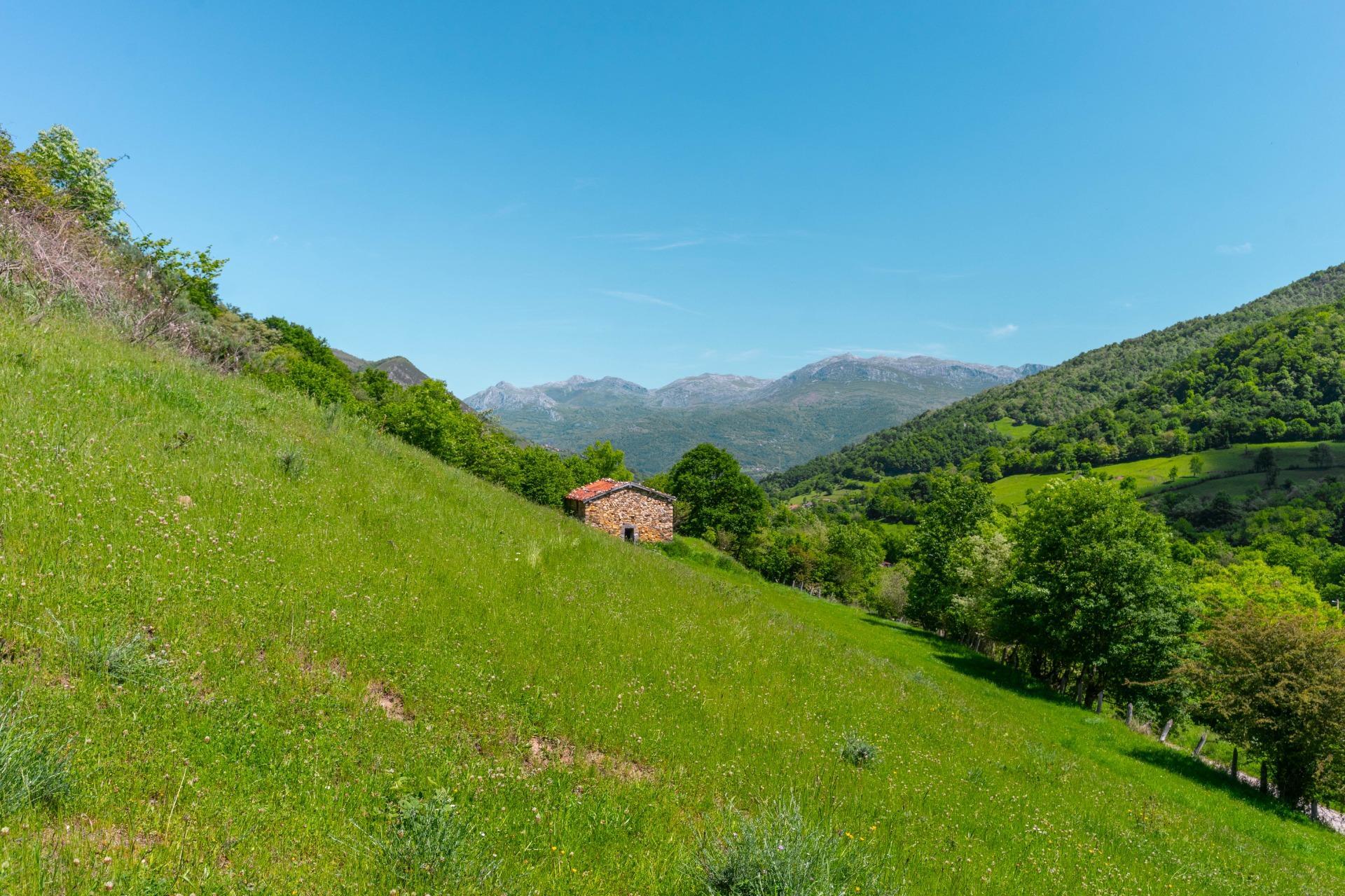 Casas o chalets-Venta-QuirÃ³s-2412077-Foto-27