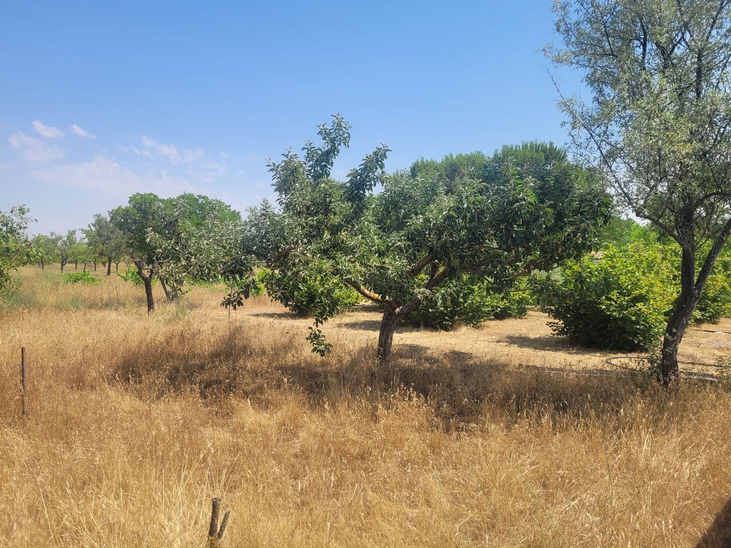Casas o chalets-Venta-Matapozuelos-1834422-Foto-82