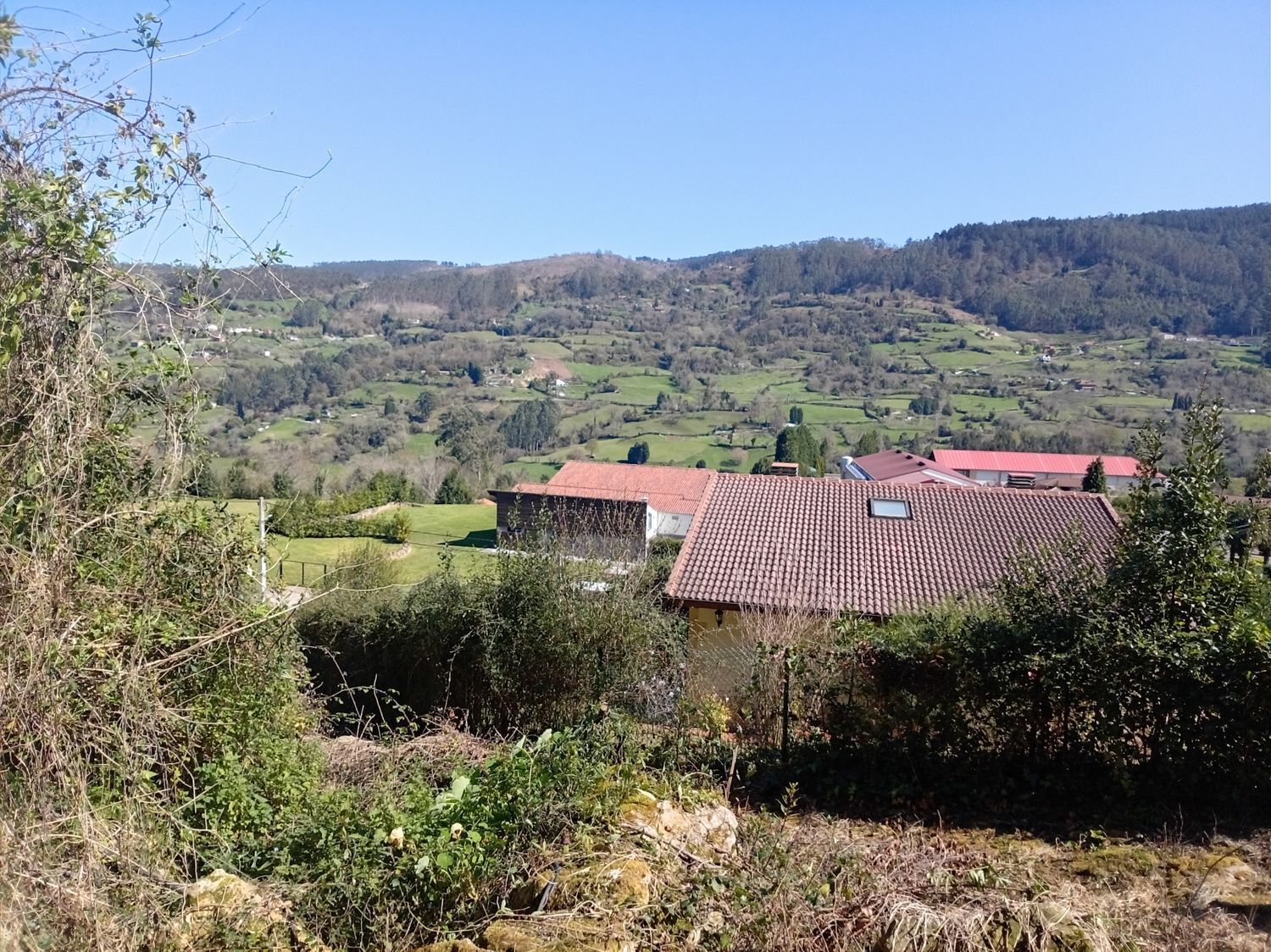 Fincas y solares-Venta-GijÃ³n-2208202-Foto-3