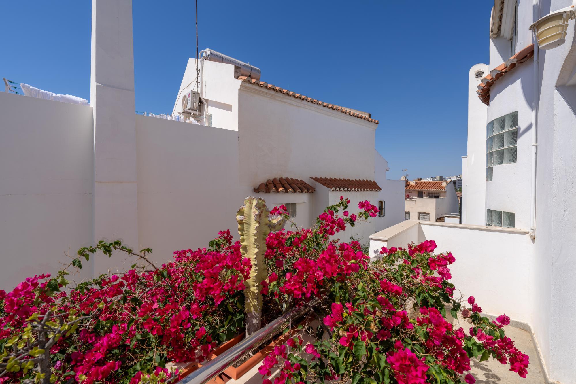 Casas o chalets-Venta-AlmerÃ­a-2412110-Foto-36