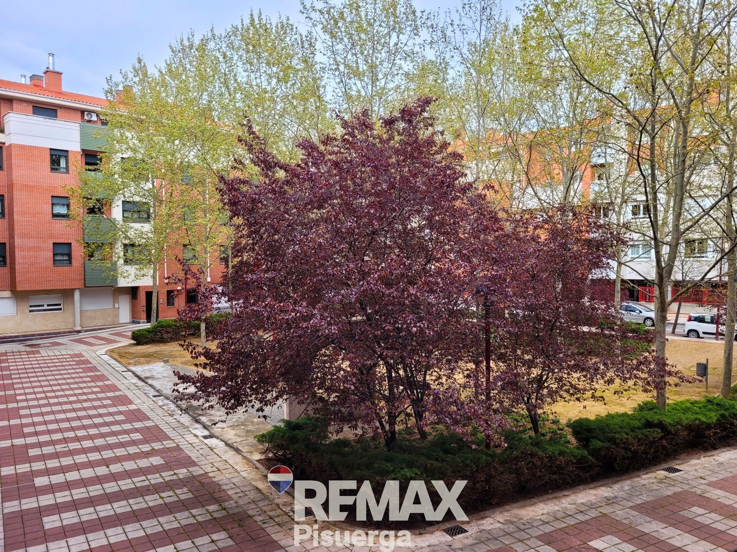 Pisos-Venta-Valladolid-2238596-Foto-45