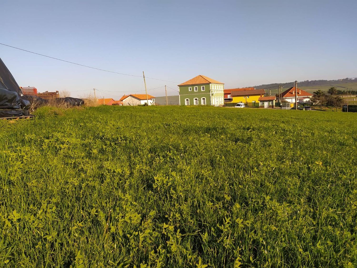 Fincas y solares-Venta-GozÃ³n-705659-Foto-4