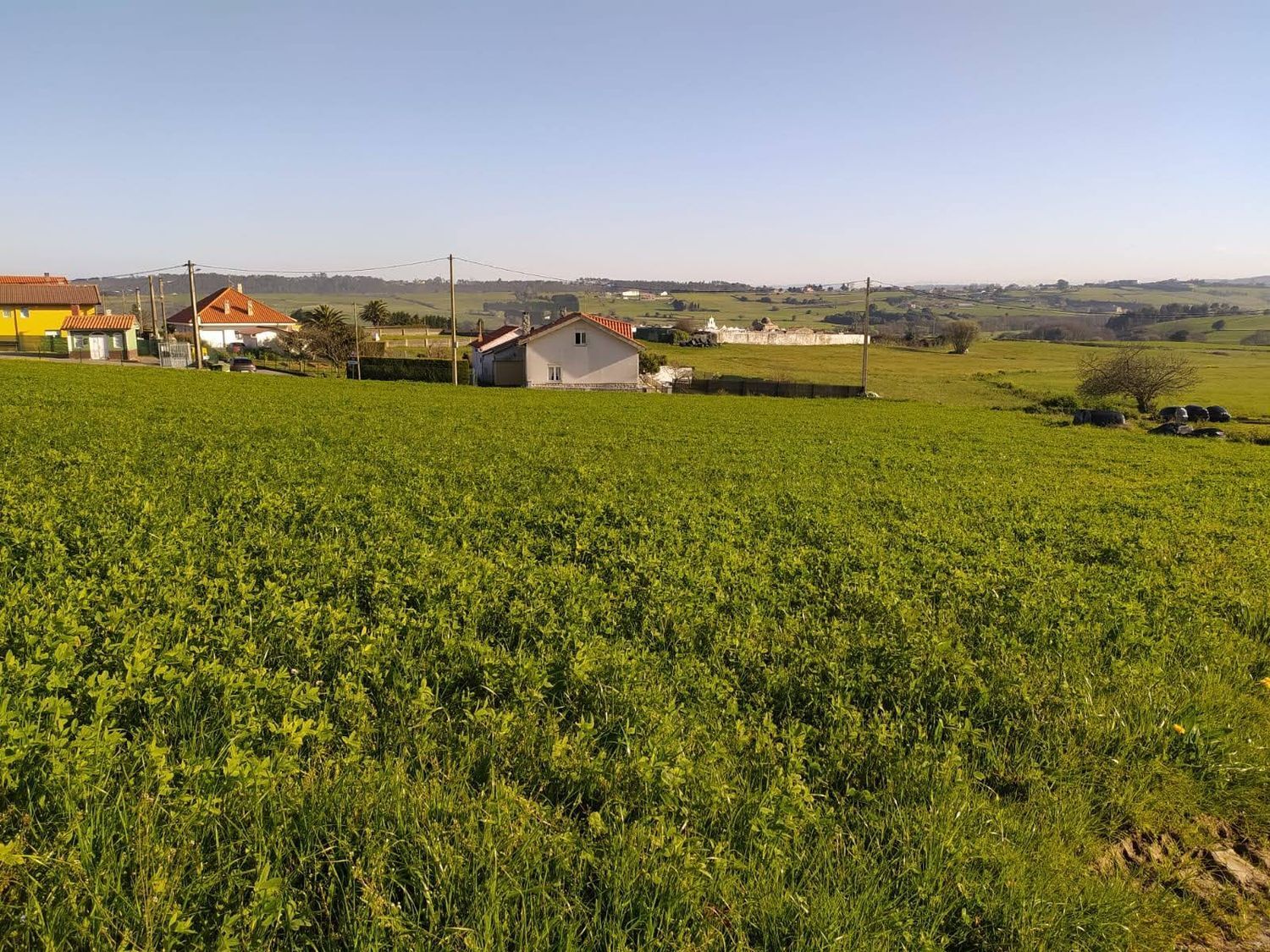 Fincas y solares-Venta-GozÃ³n-705659-Foto-7