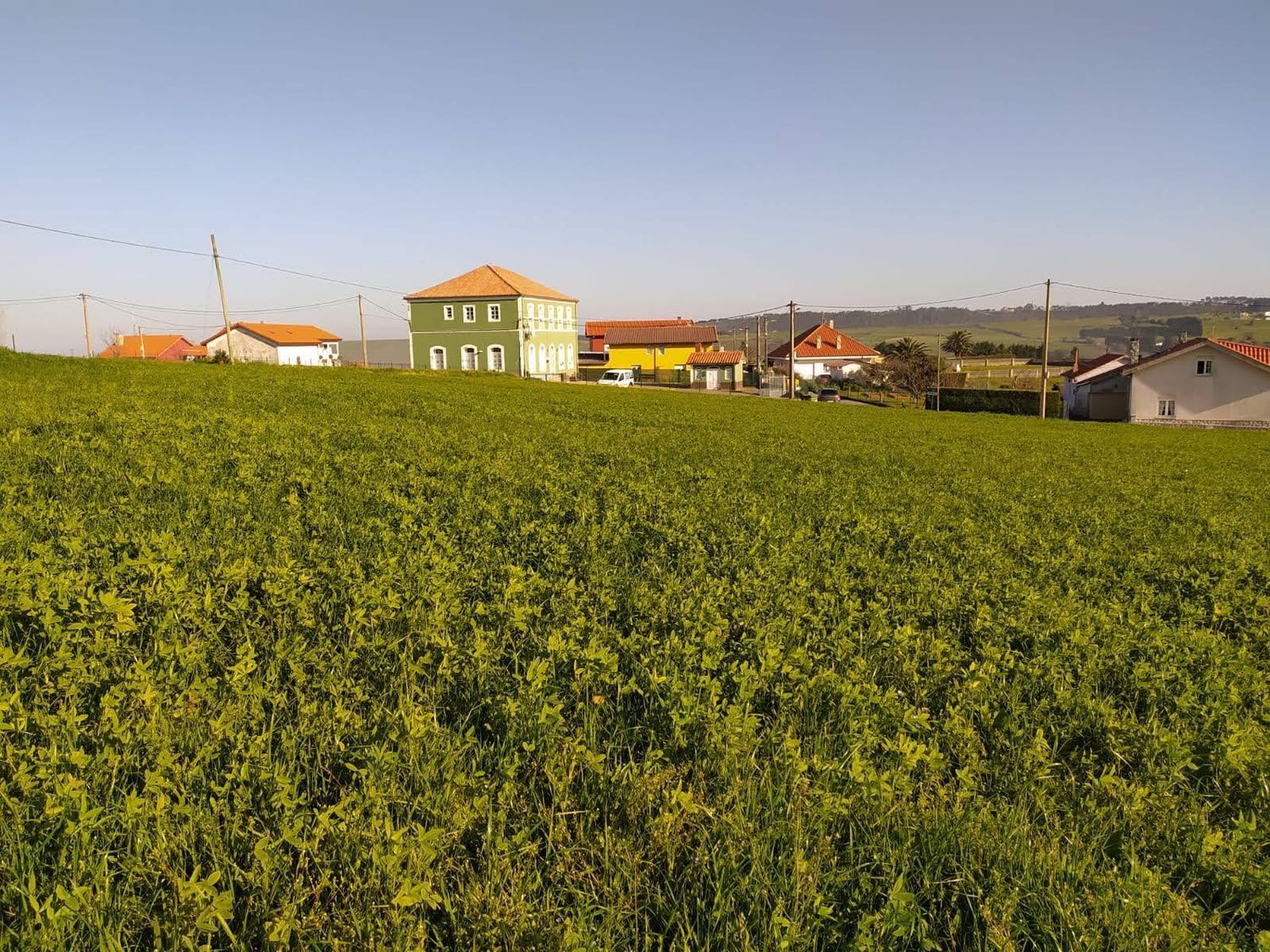Fincas y solares-Venta-GozÃ³n-705659-Foto-10