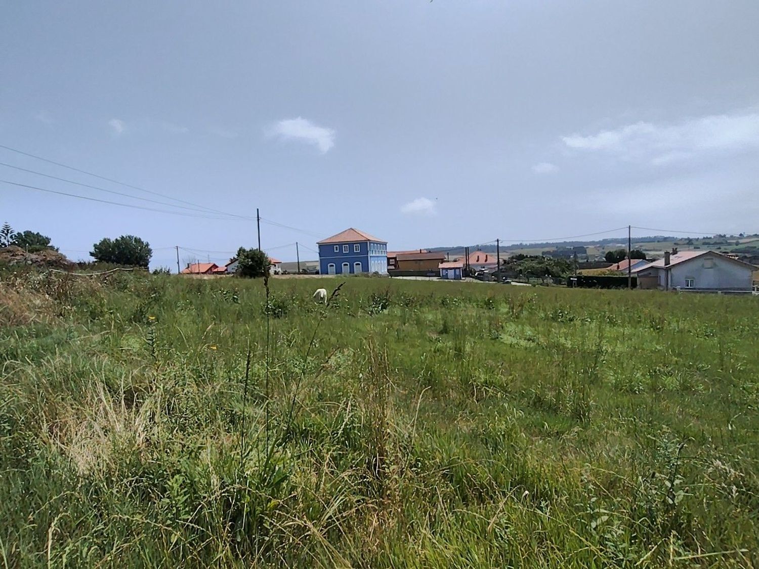 Fincas y solares-Venta-GozÃ³n-2412452-Foto-8