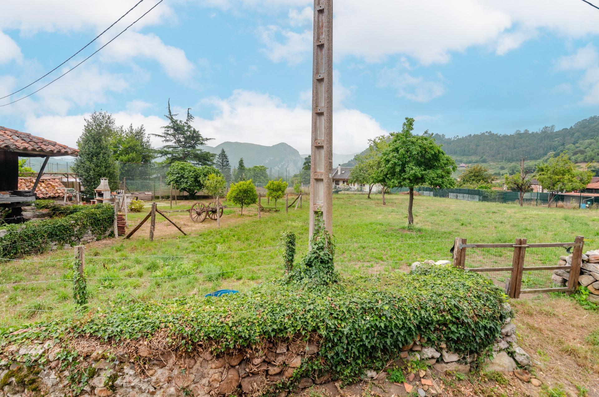 Casas o chalets-Venta-Oviedo-2414021-Foto-55