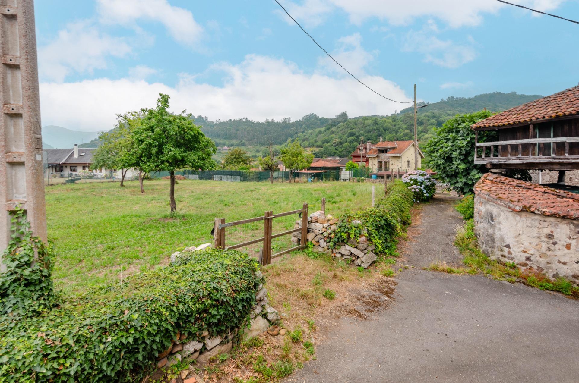 Casas o chalets-Venta-Oviedo-2414021-Foto-57