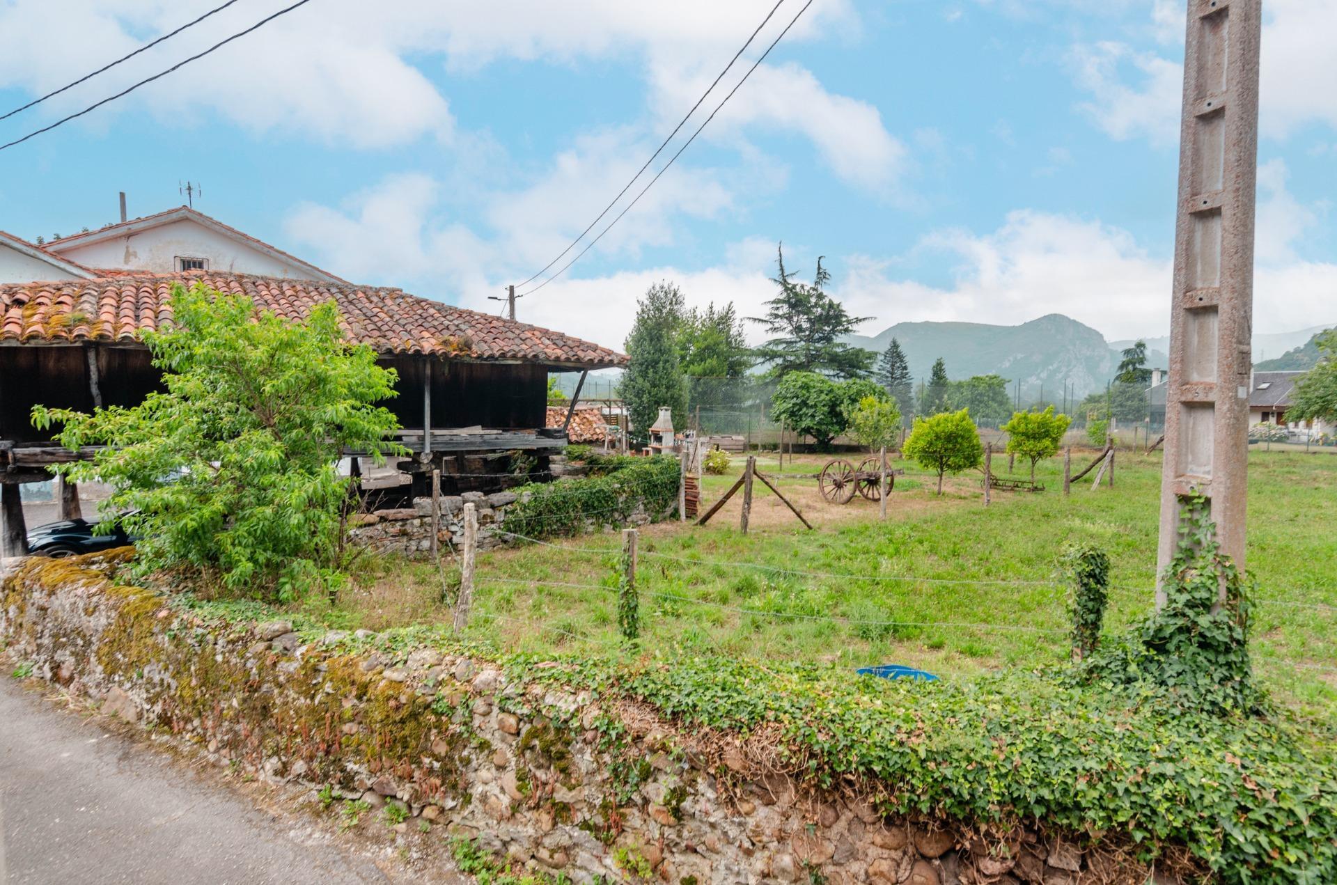 Casas o chalets-Venta-Oviedo-2414021-Foto-56