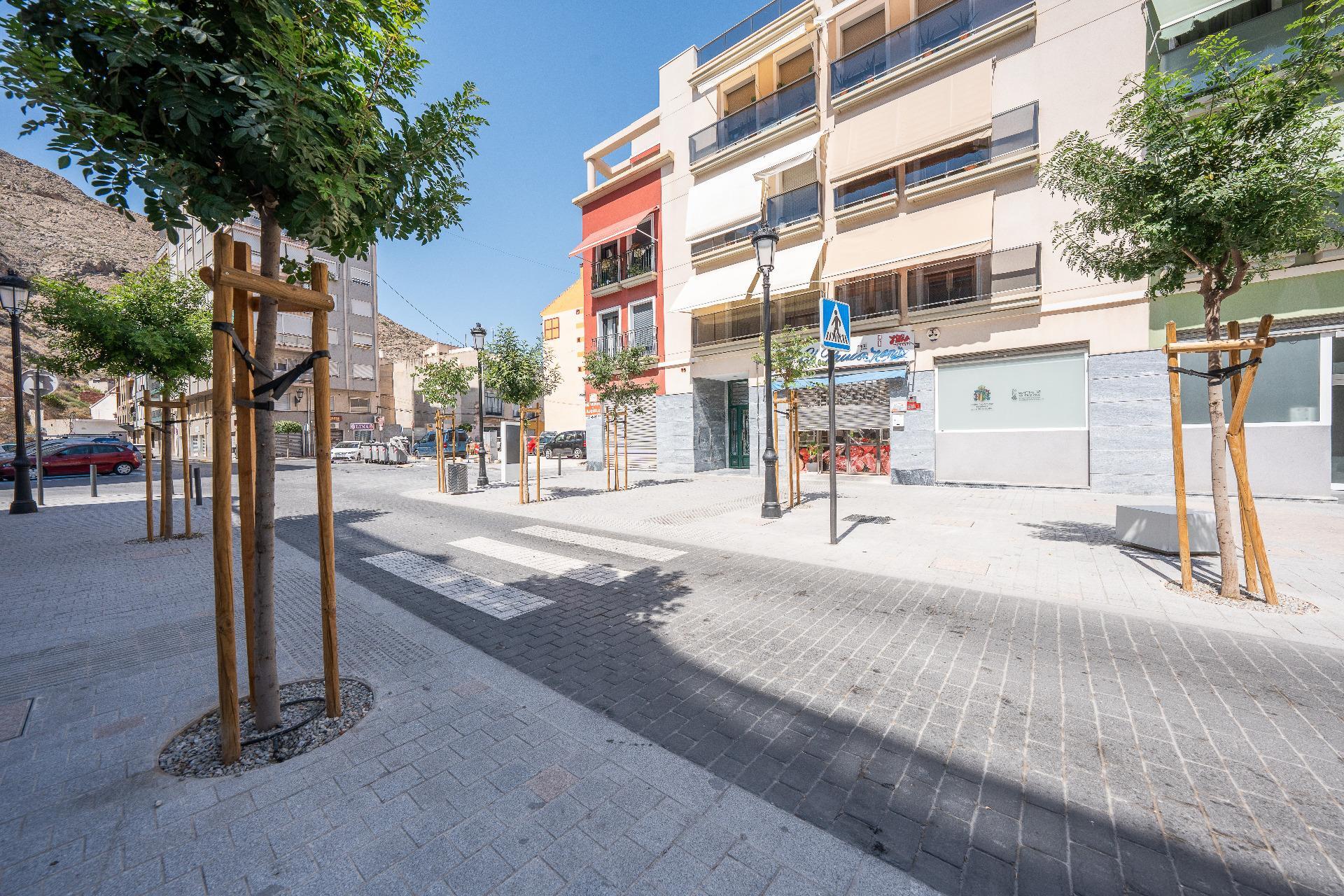 Negocios-Venta-Orihuela-2412143-Foto-2
