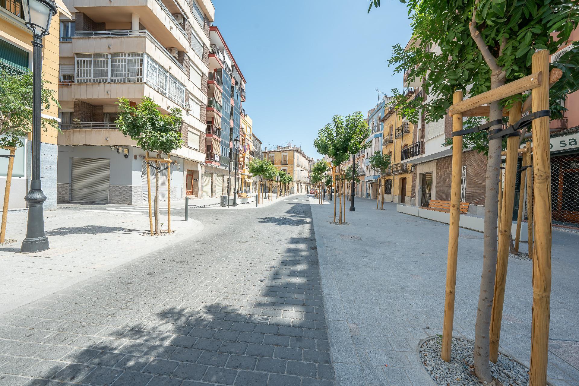 Negocios-Venta-Orihuela-2412143-Foto-5