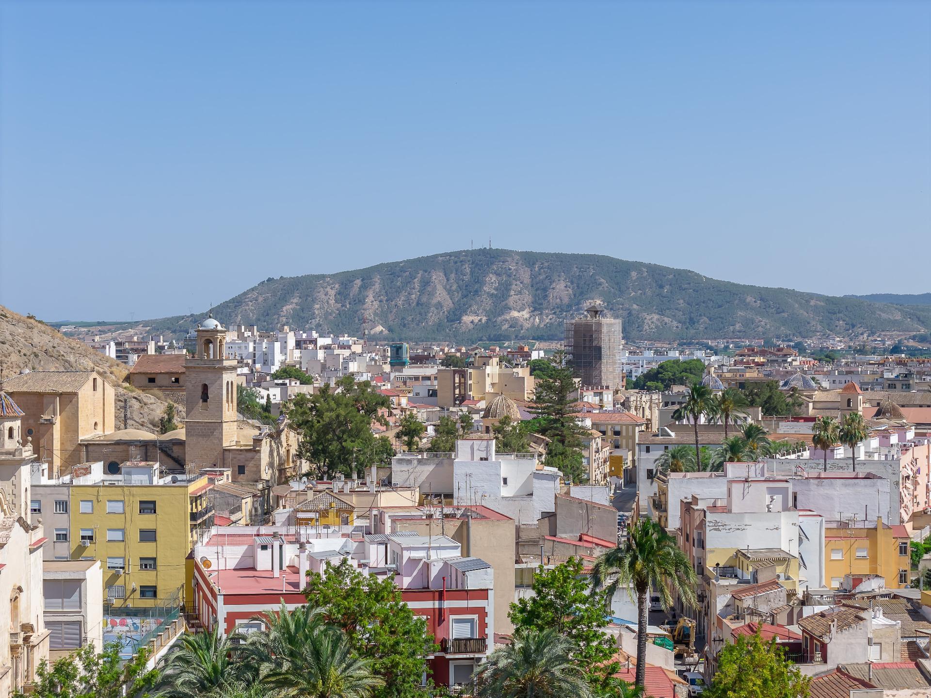 Negocios-Venta-Orihuela-2412143-Foto-7