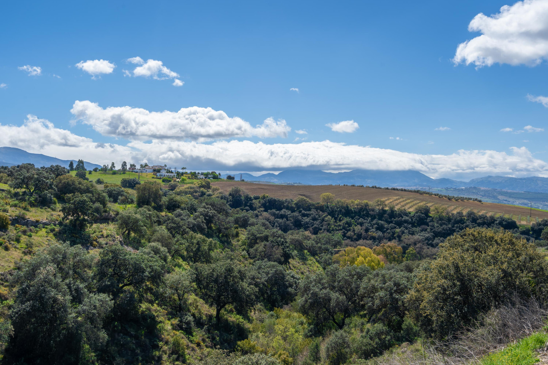 Edificios-Venta-Ronda-2412158-Foto-12