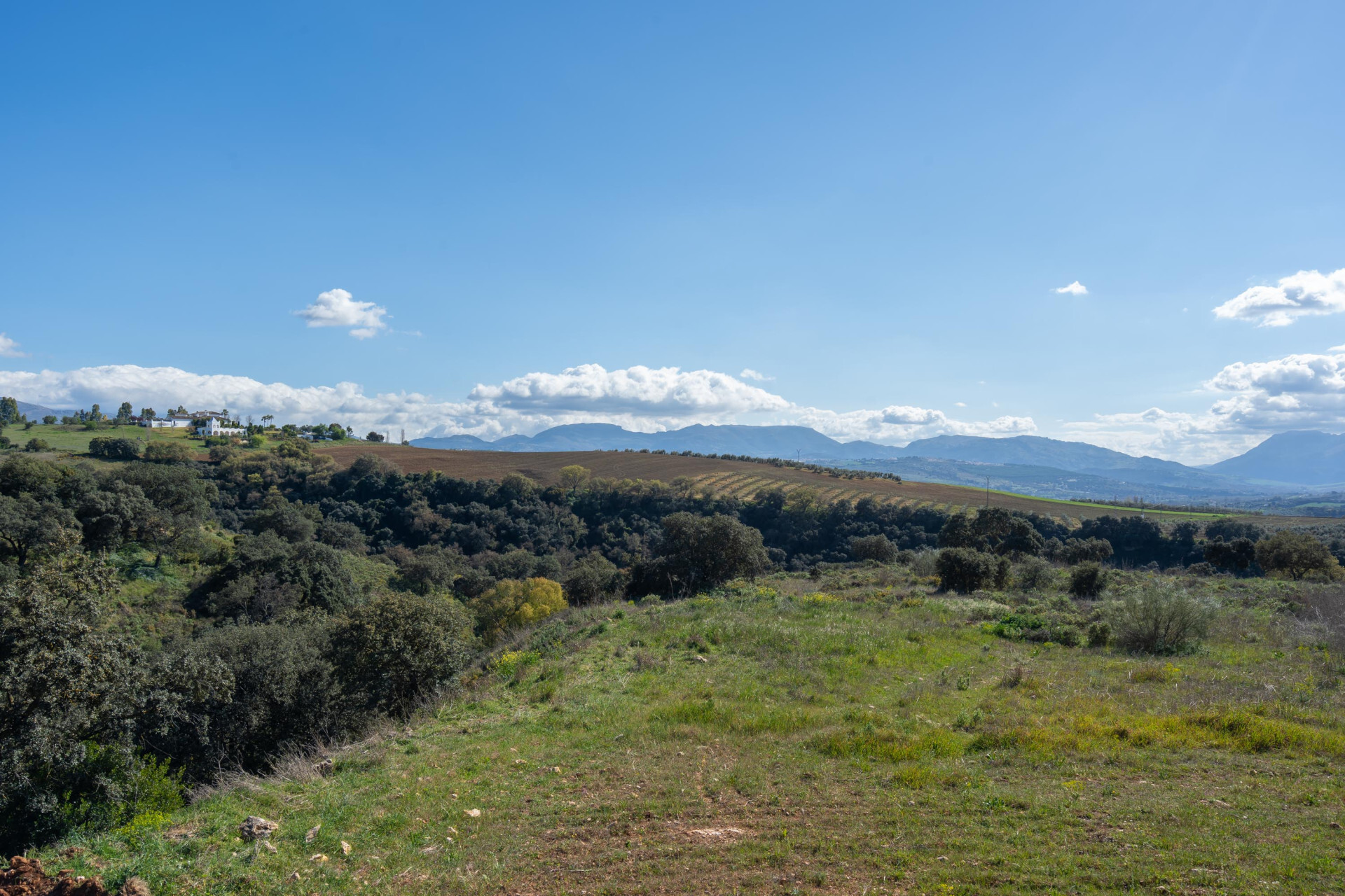 Edificios-Venta-Ronda-2412158-Foto-38