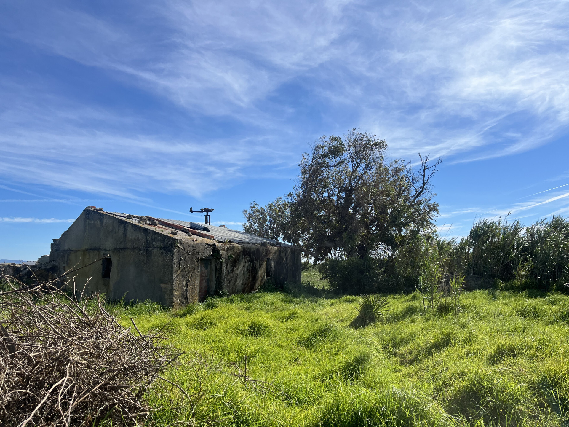 Pisos-Venta-Tarifa-2412164-Foto-23