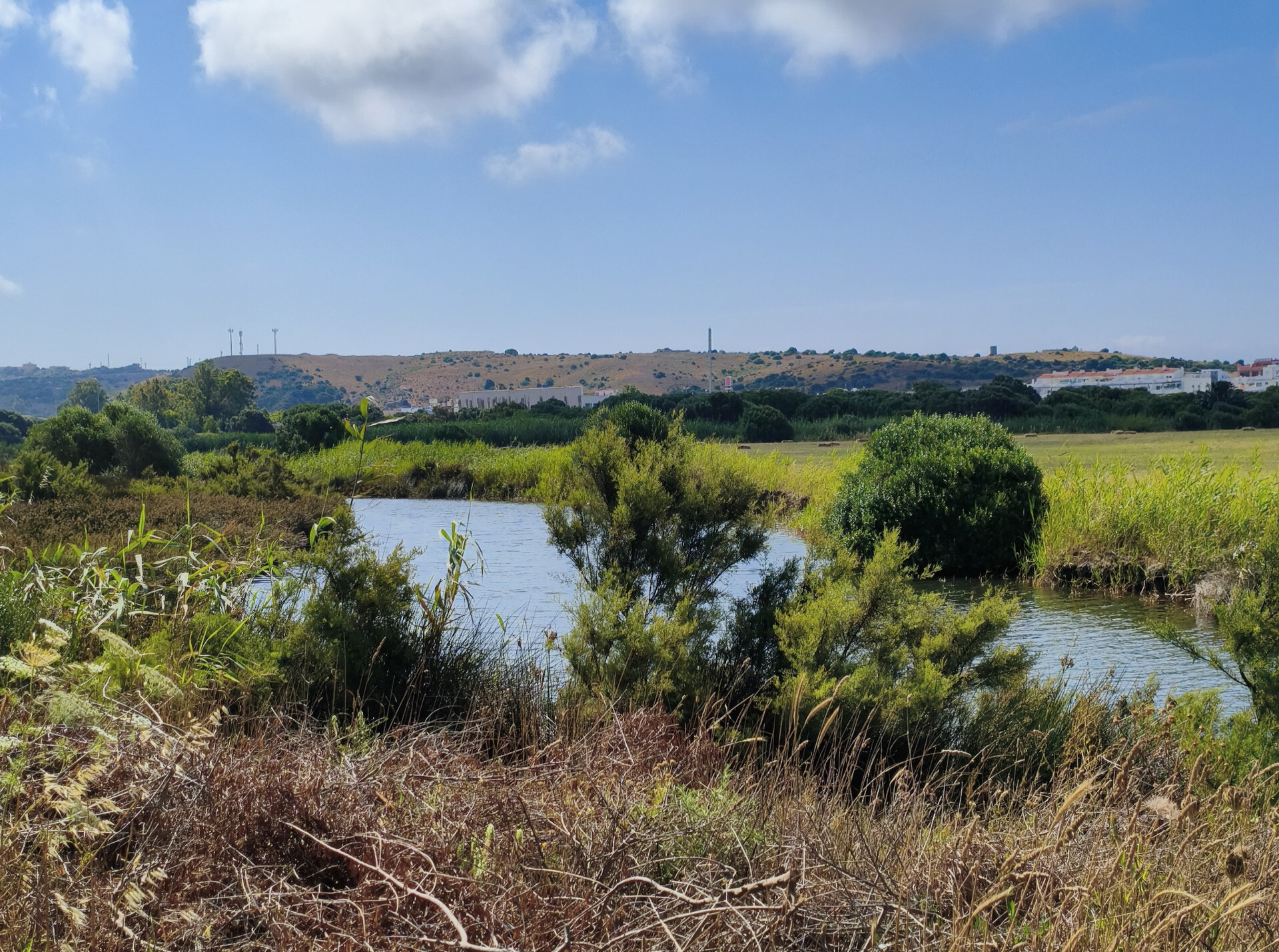Pisos-Venta-Tarifa-2412164-Foto-26