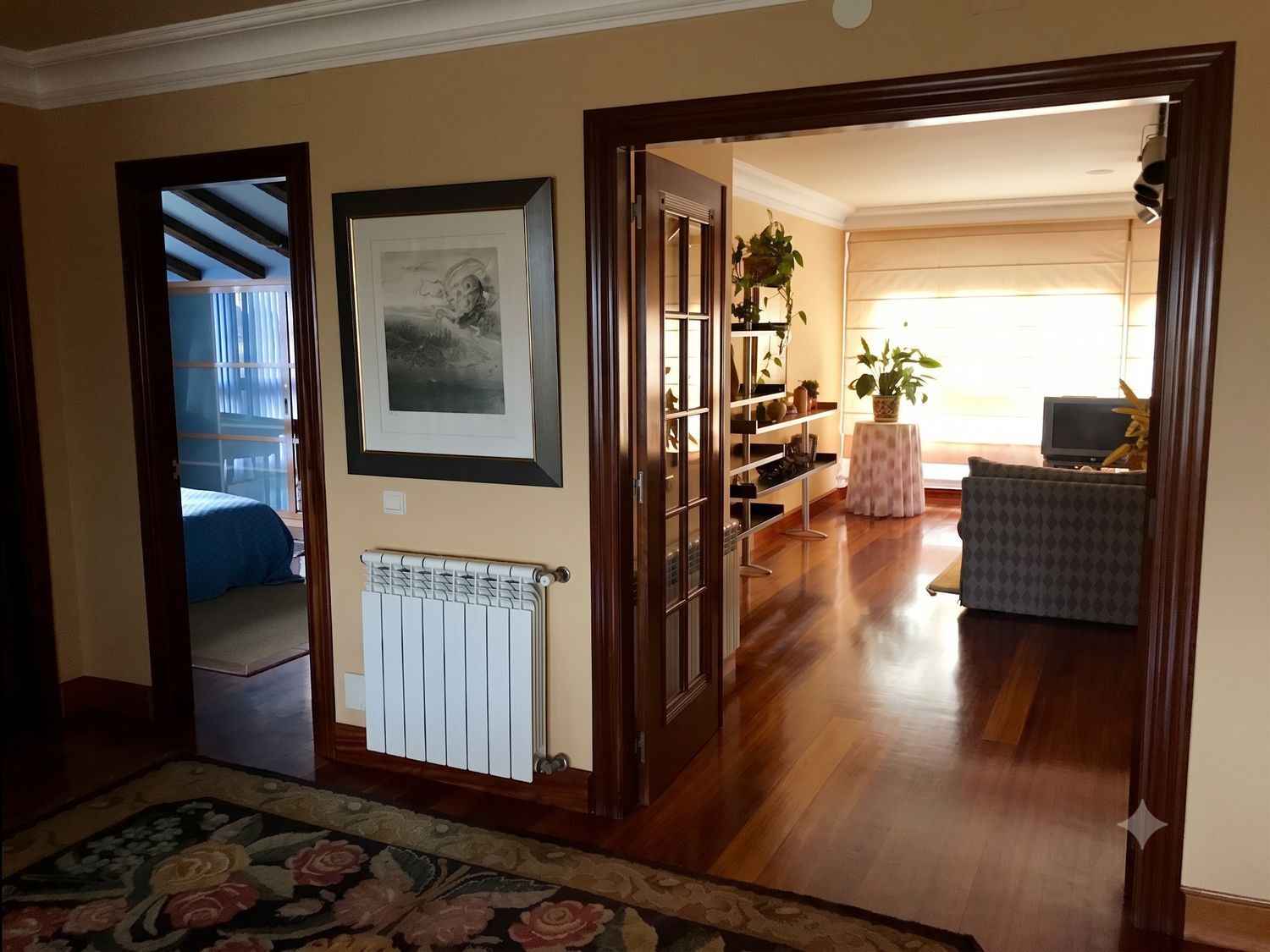 Casas o chalets-Venta-Murcia-2412902-Foto-51