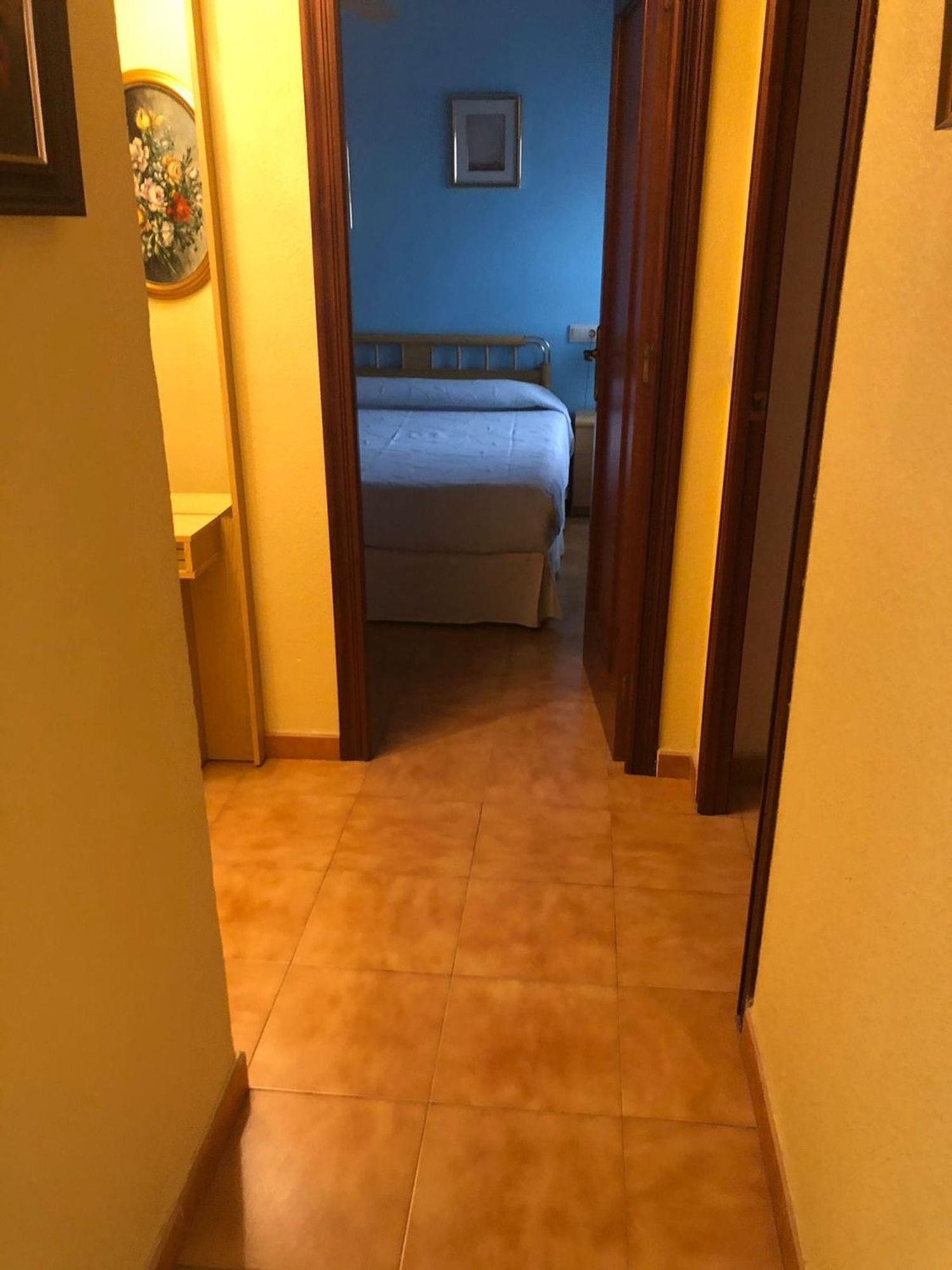 Pisos-Alquiler-Santa Pola-2413685-Foto-12
