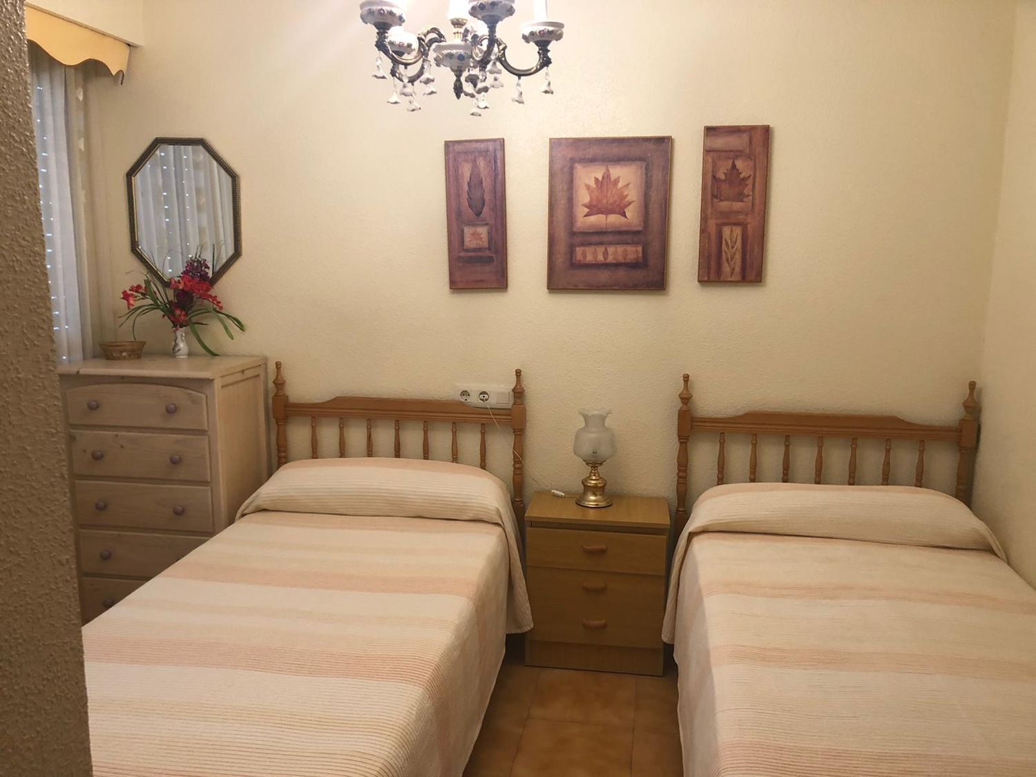 Pisos-Alquiler-Santa Pola-2413685-Foto-27