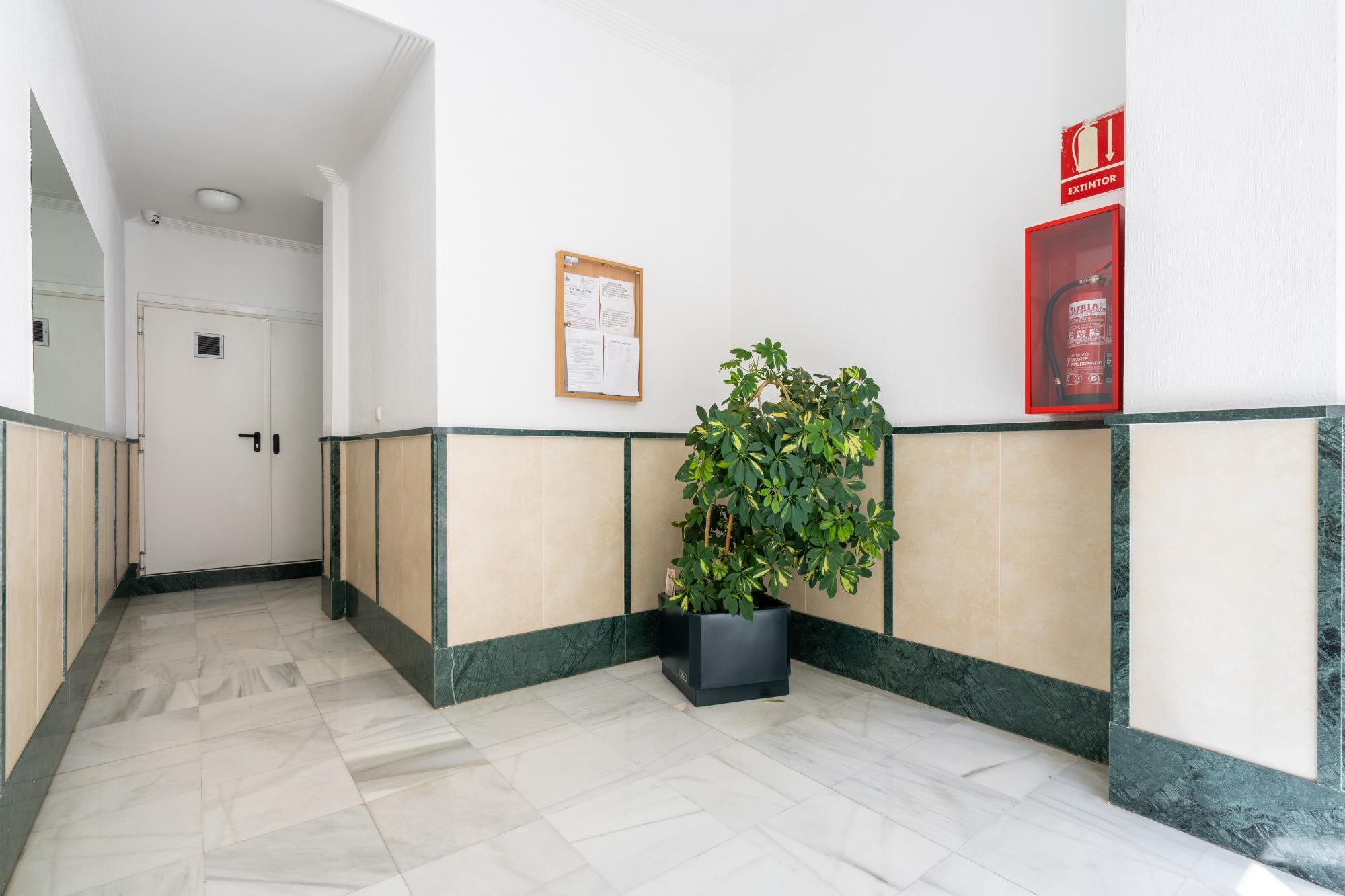 Pisos-Venta-AlmerÃ­a-2412176-Foto-39