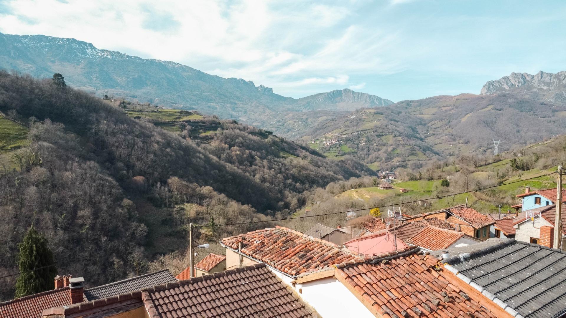 Casas o chalets-Venta-Riosa-2412182-Foto-15