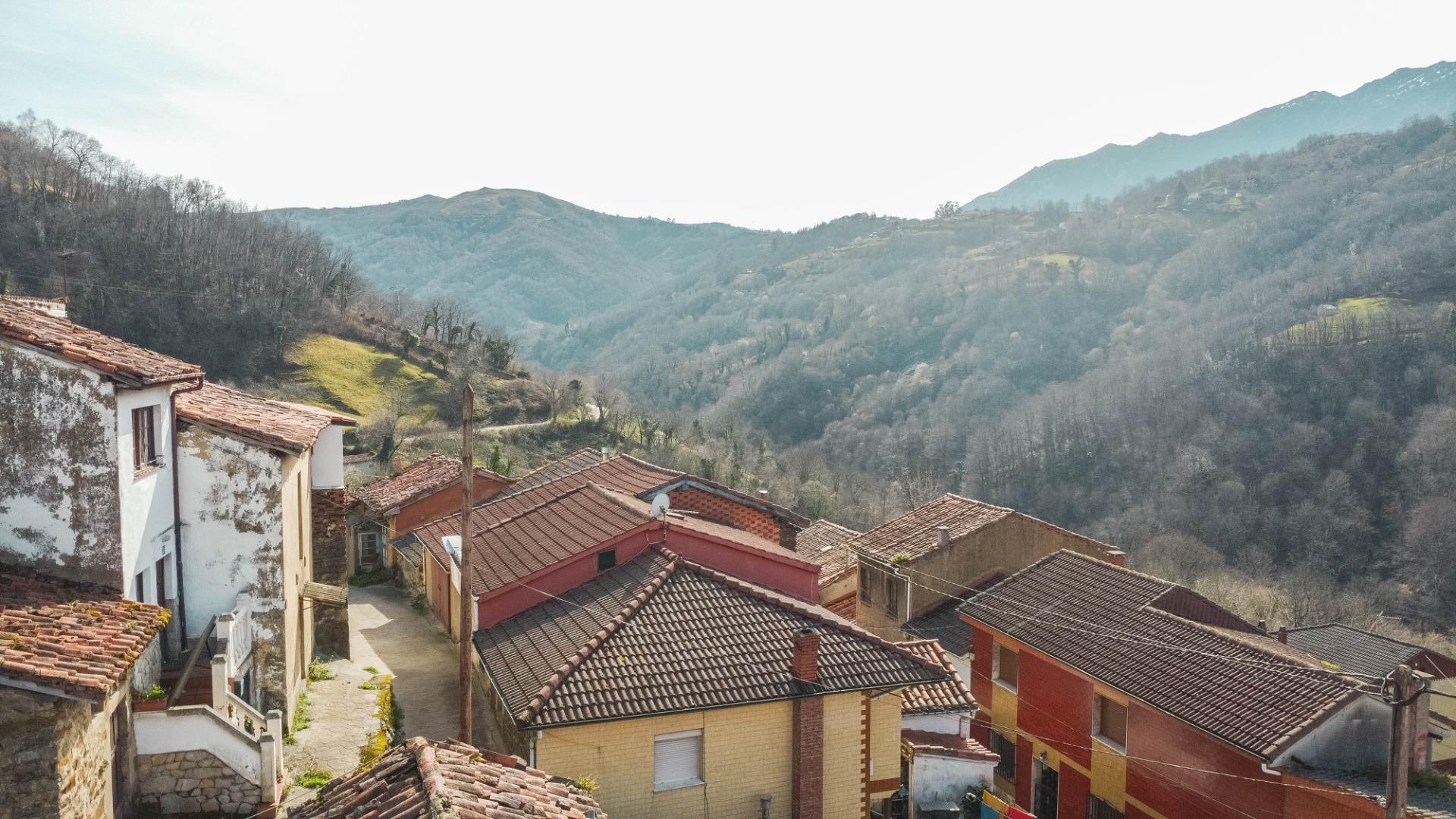 Casas o chalets-Venta-Riosa-2412182-Foto-19