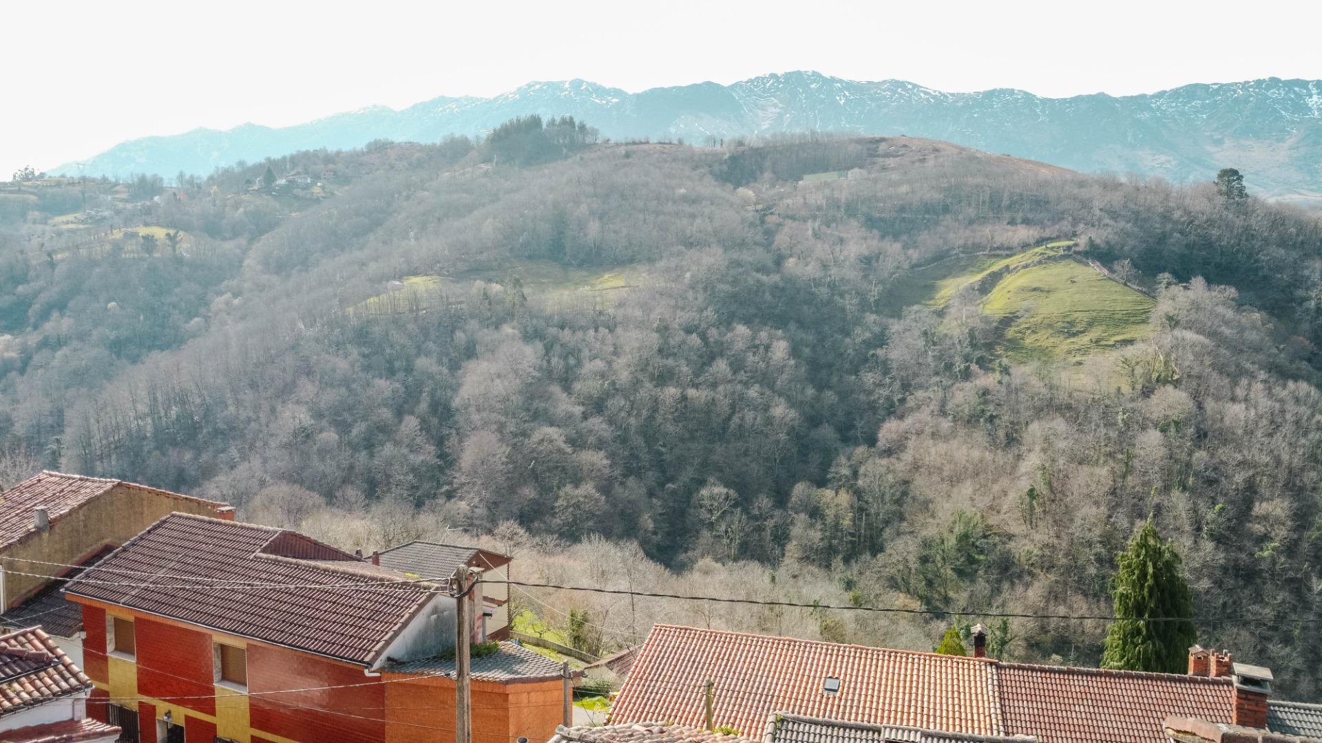 Casas o chalets-Venta-Riosa-2412182-Foto-17