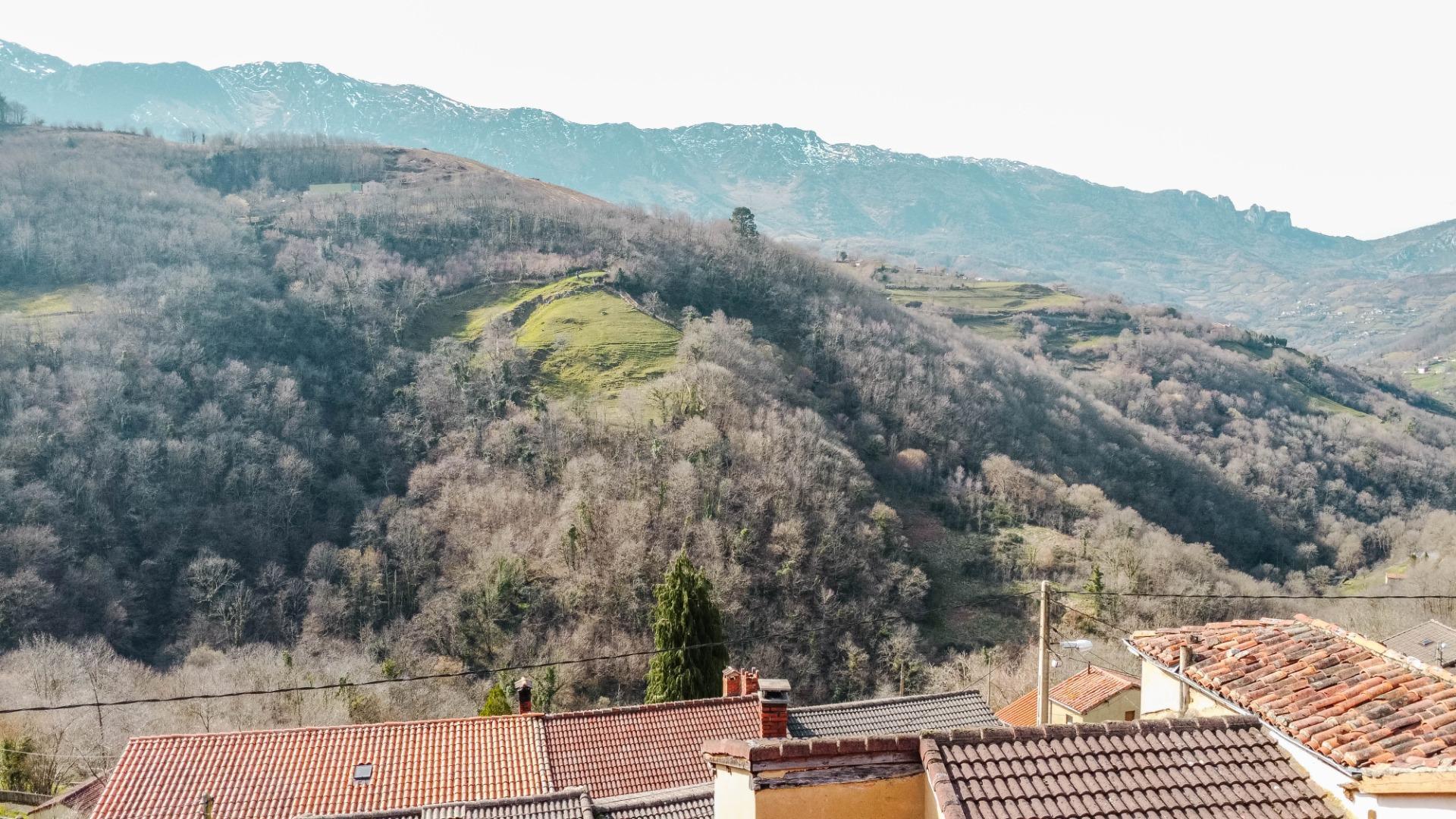 Casas o chalets-Venta-Riosa-2412182-Foto-18