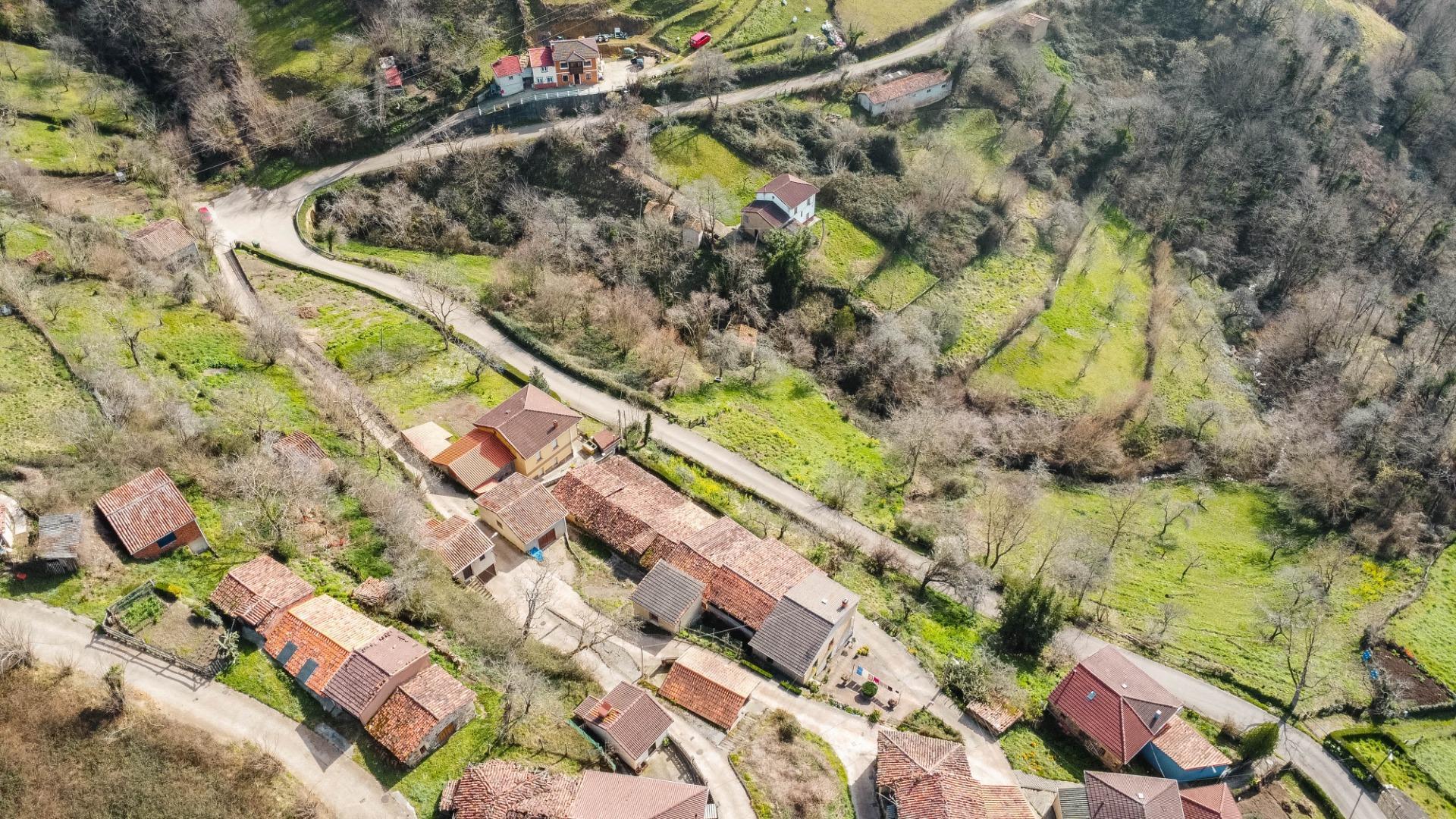Casas o chalets-Venta-Riosa-2412182-Foto-25