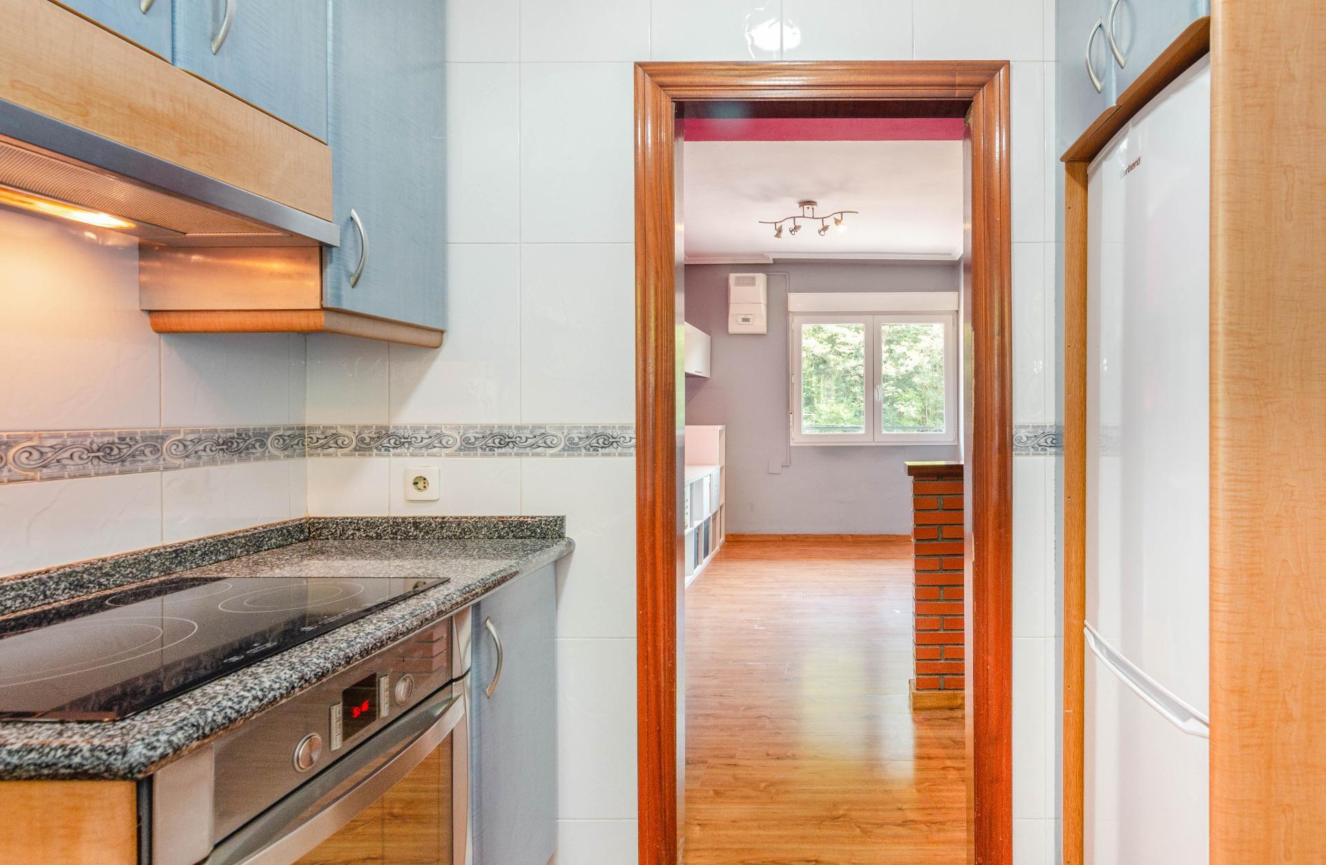 Pisos-Venta-Mieres-2412197-Foto-22