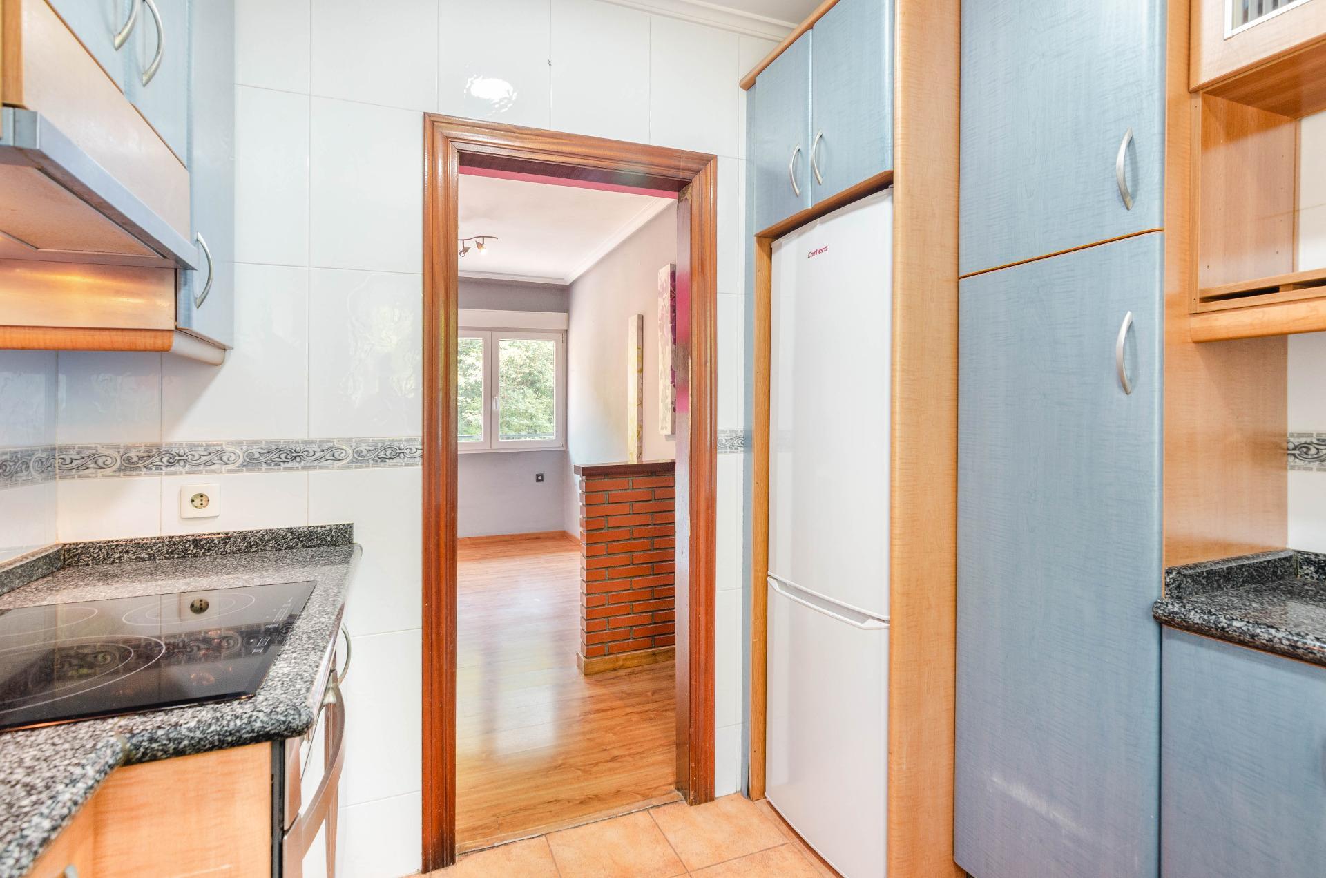 Pisos-Venta-Mieres-2412197-Foto-21