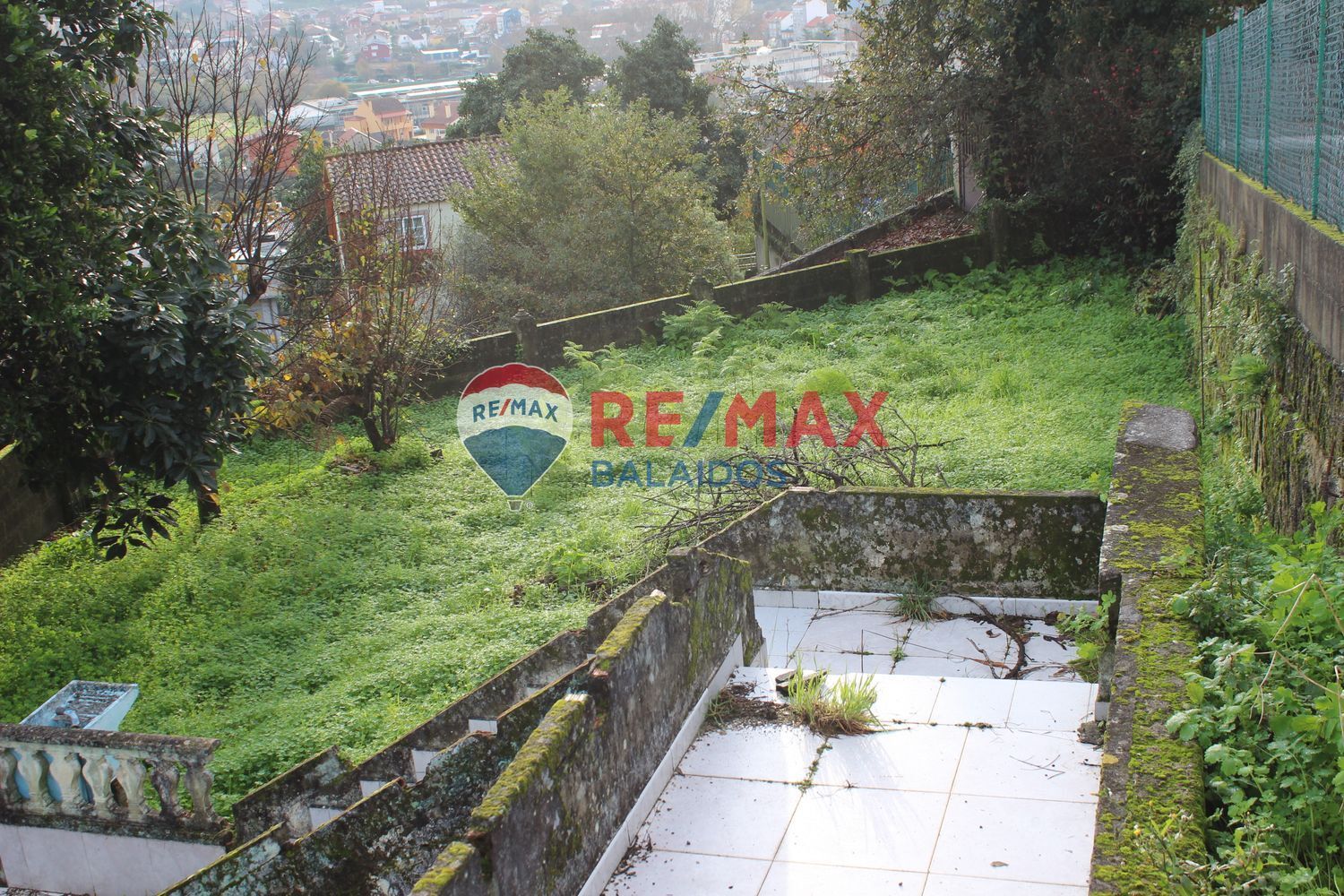 Fincas y solares-Venta-Vigo-1021673-Foto-6