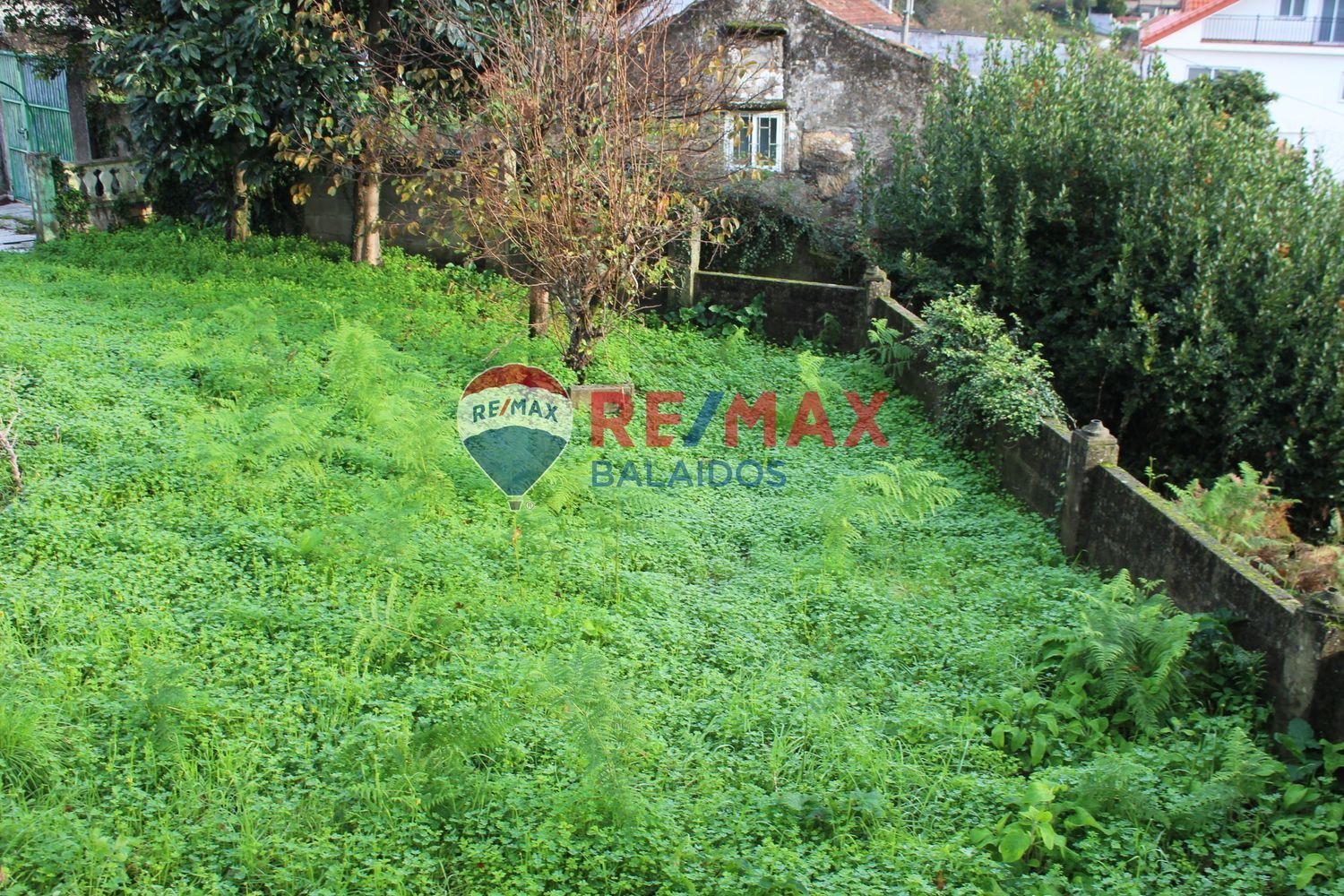 Fincas y solares-Venta-Vigo-1021673-Foto-5