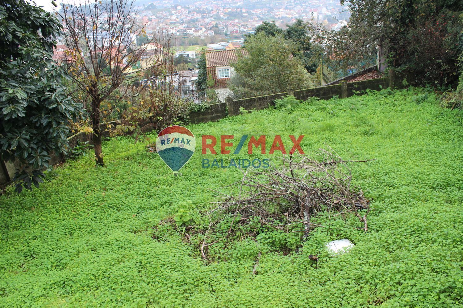 Fincas y solares-Venta-Vigo-1021673-Foto-20