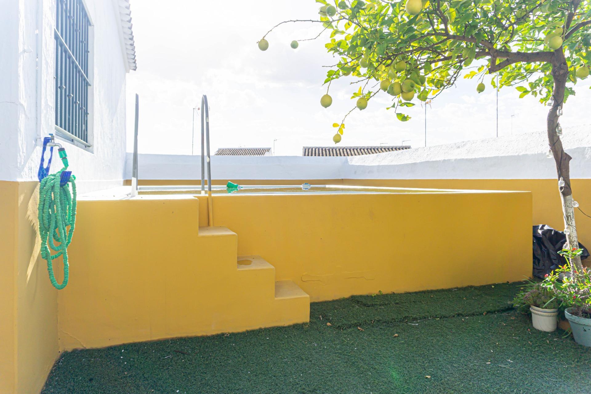 Casas o chalets-Venta-Montellano-2414006-Foto-57