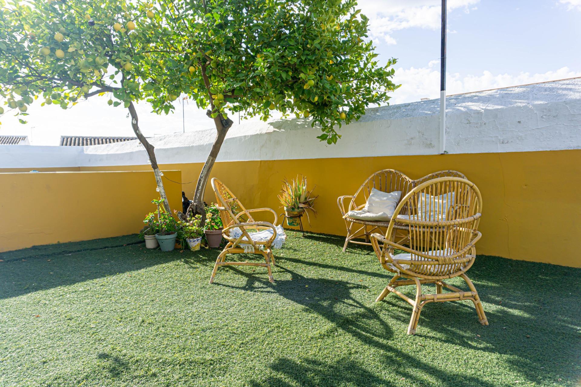 Casas o chalets-Venta-Montellano-2414006-Foto-61