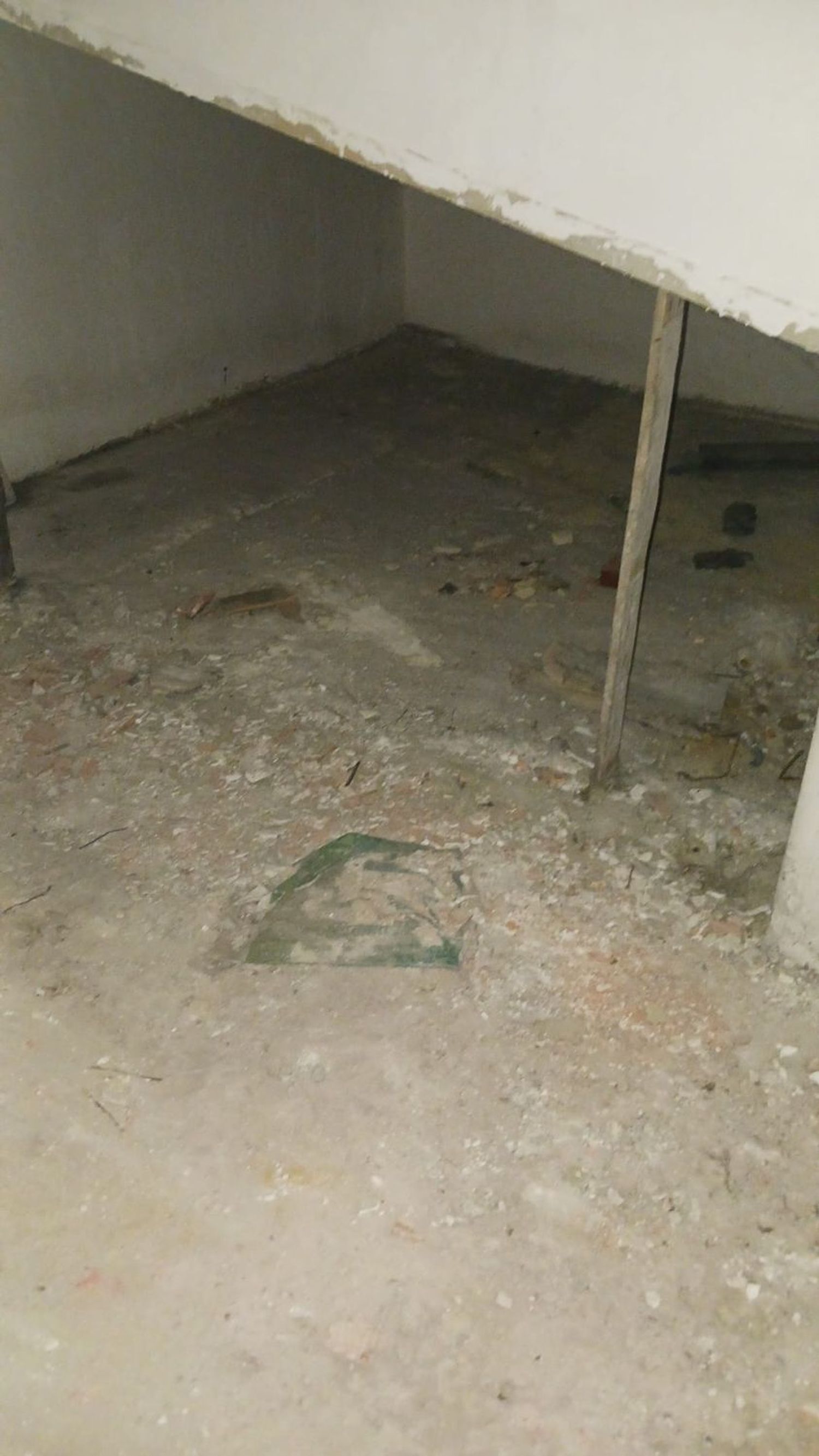 Casas o chalets-Venta-Langreo-1052891-Foto-68