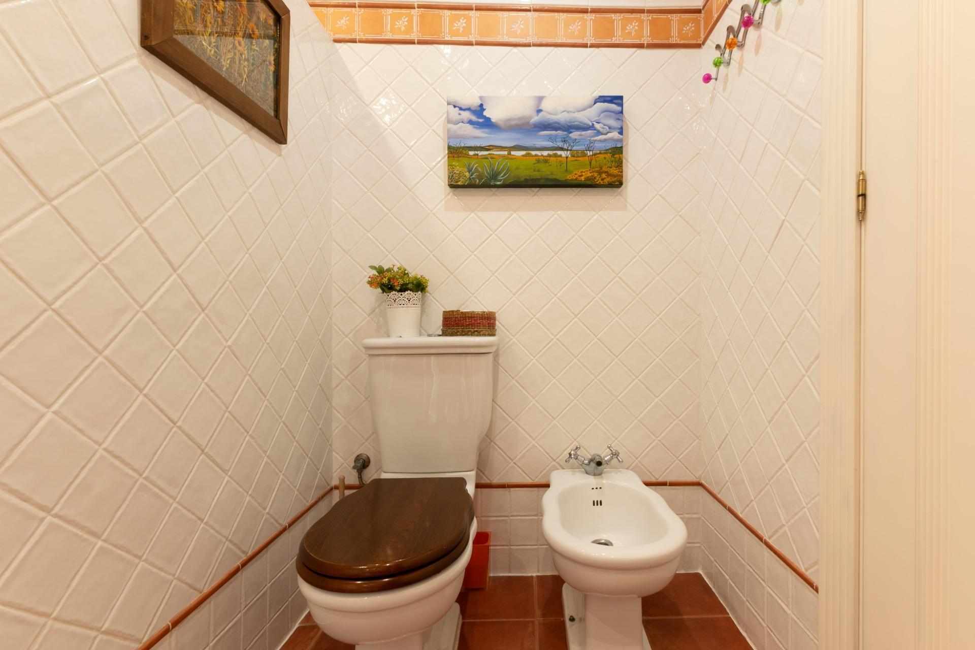 Casas o chalets-Venta-AlhaurÃ­n de la Torre-2242669-Foto-20