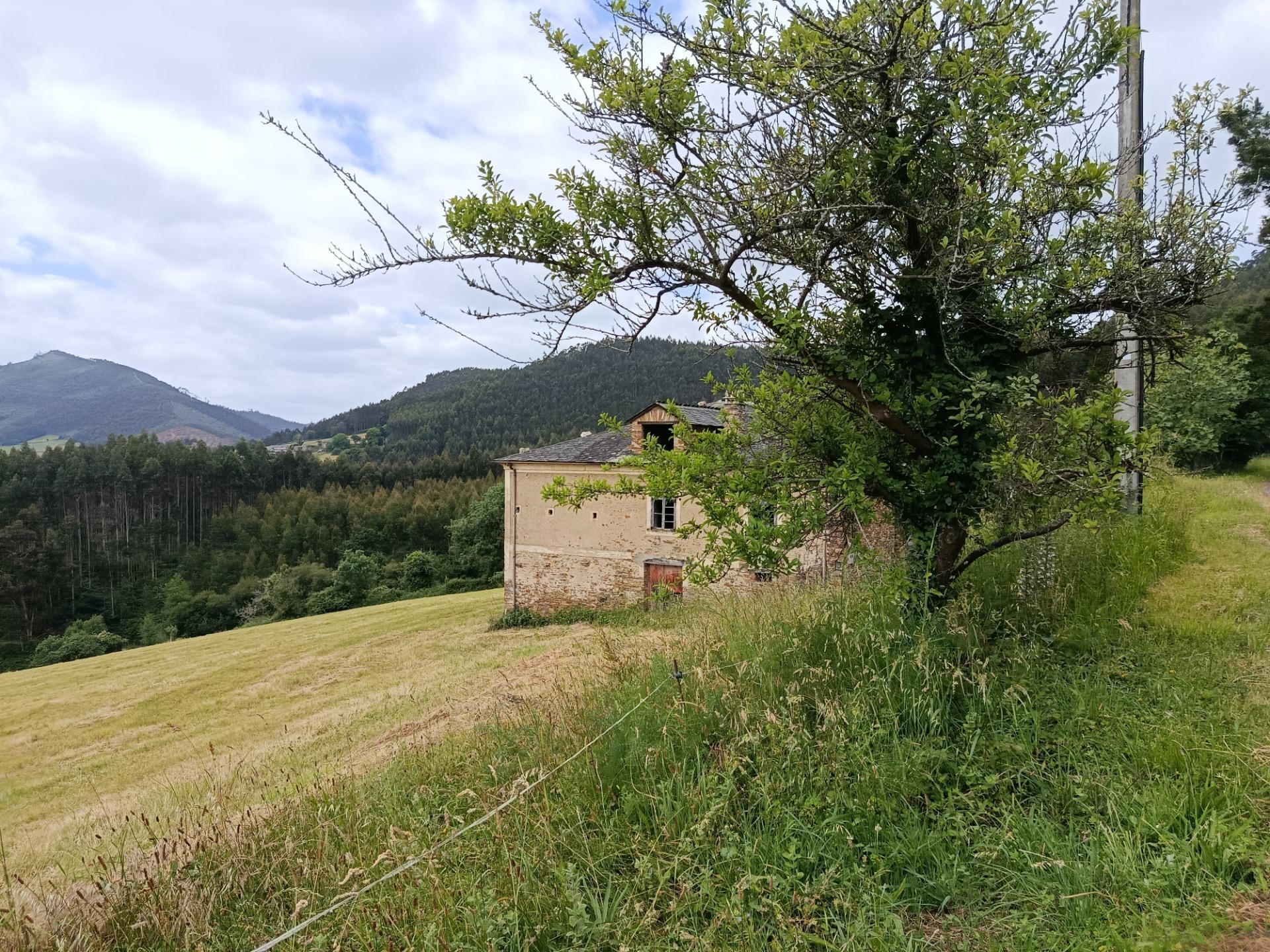 Casas o chalets-Venta-San Tirso de Abres-2412206-Foto-10