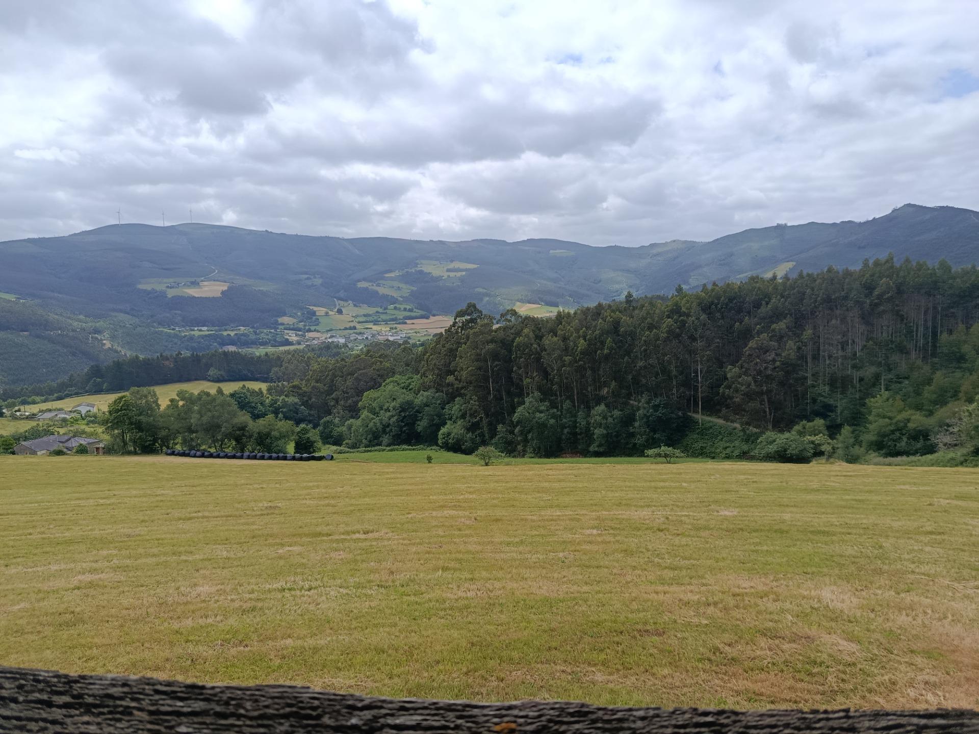 Casas o chalets-Venta-San Tirso de Abres-2412206-Foto-12