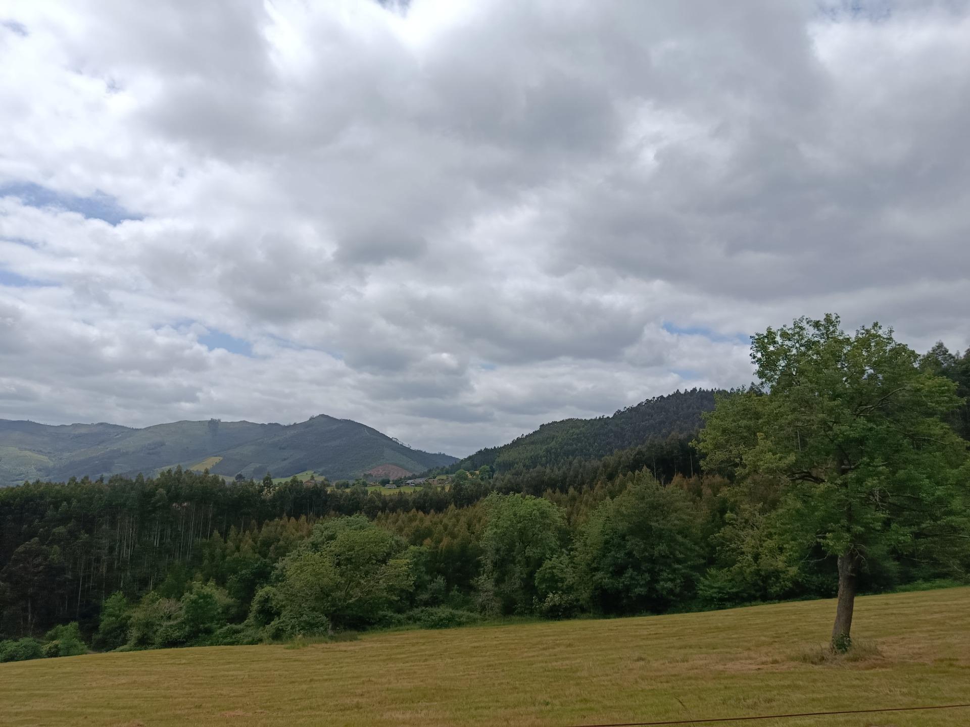 Casas o chalets-Venta-San Tirso de Abres-2412206-Foto-38