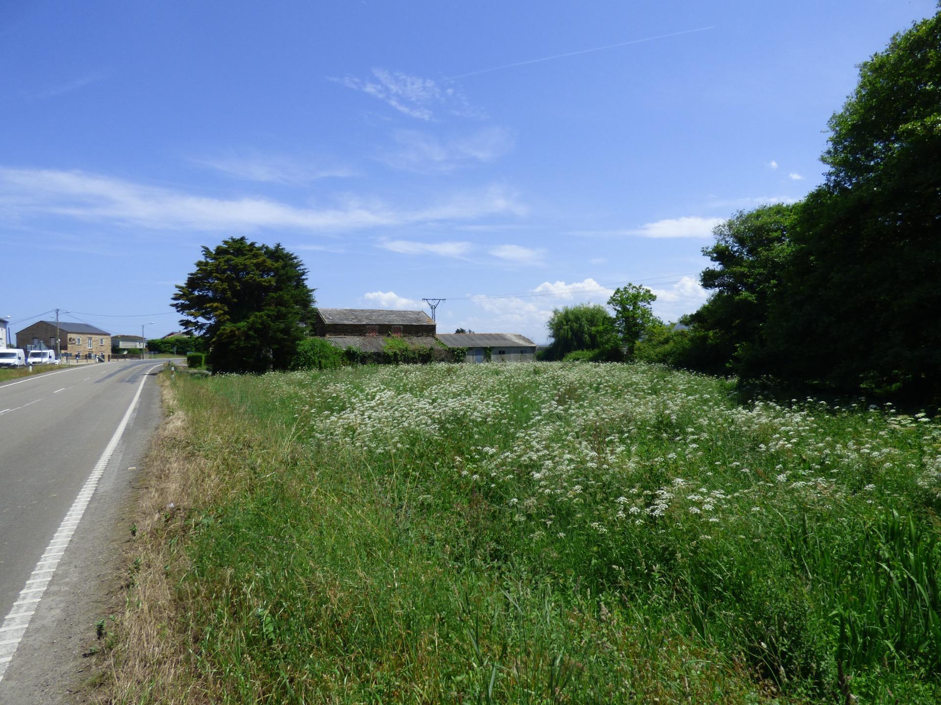 Casas o chalets-Venta-Ribadeo-2412347-Foto-35