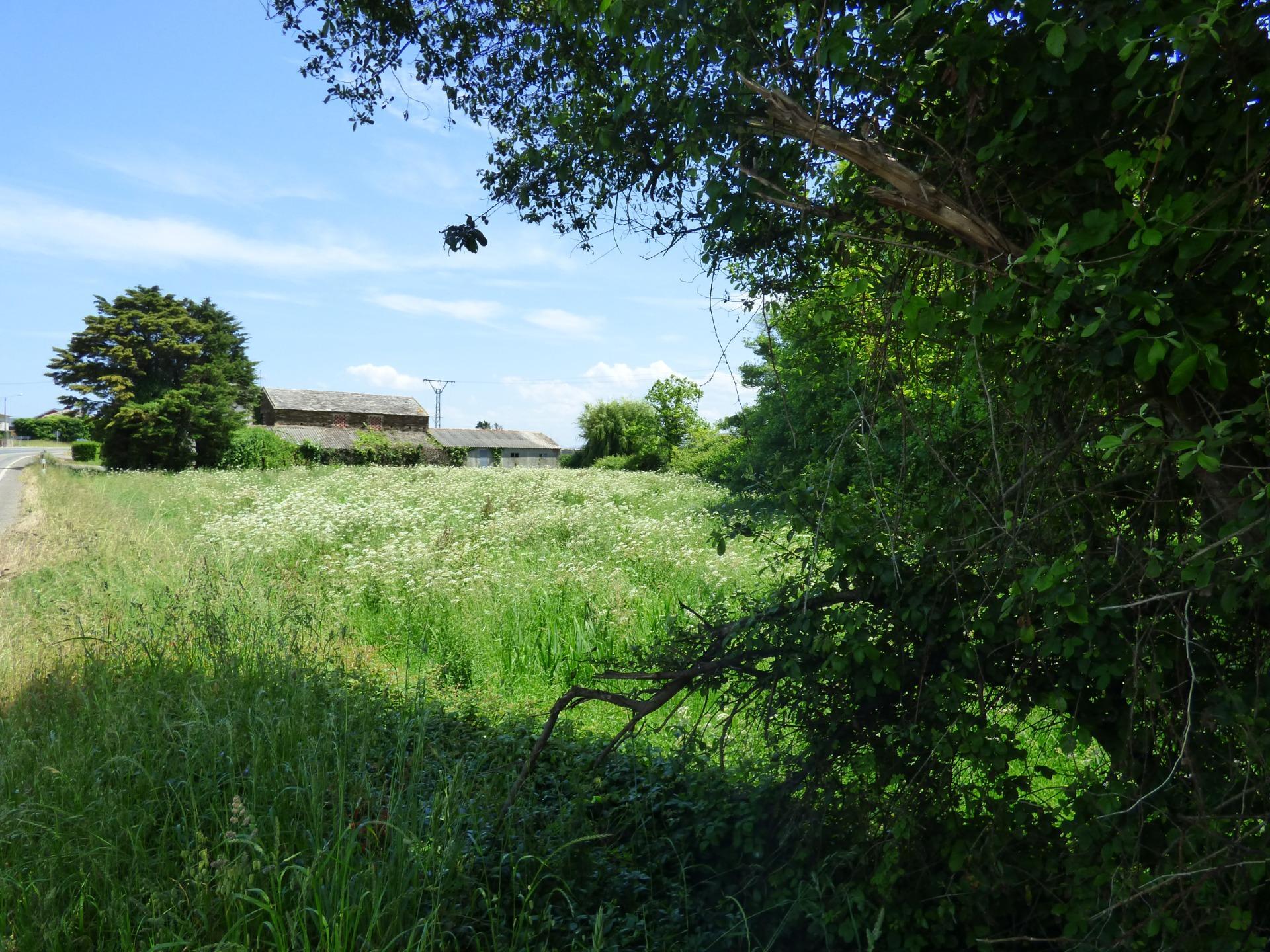 Casas o chalets-Venta-Ribadeo-2412347-Foto-36