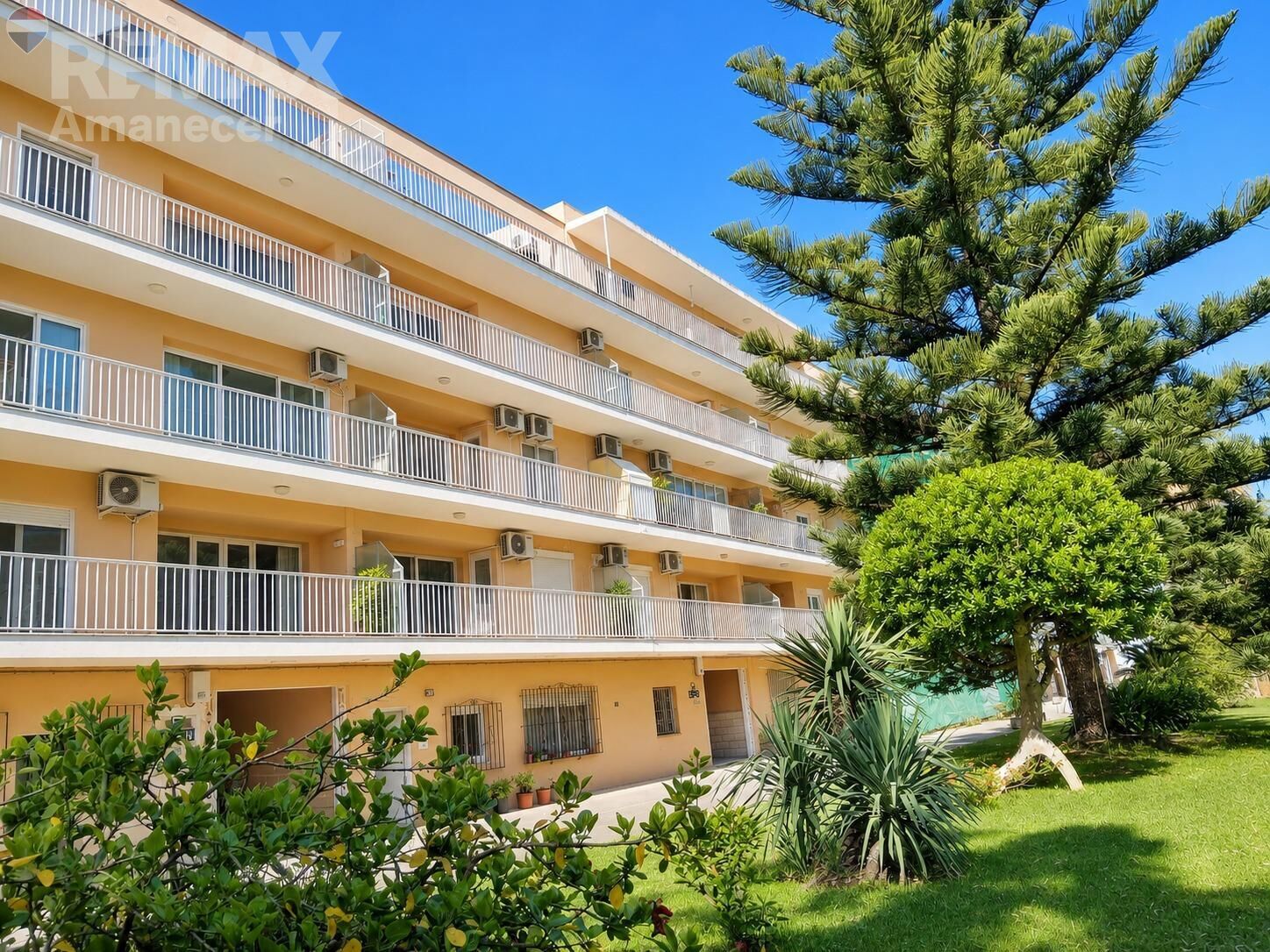 Pisos-Venta-DÃ©nia-2412701-Foto-16