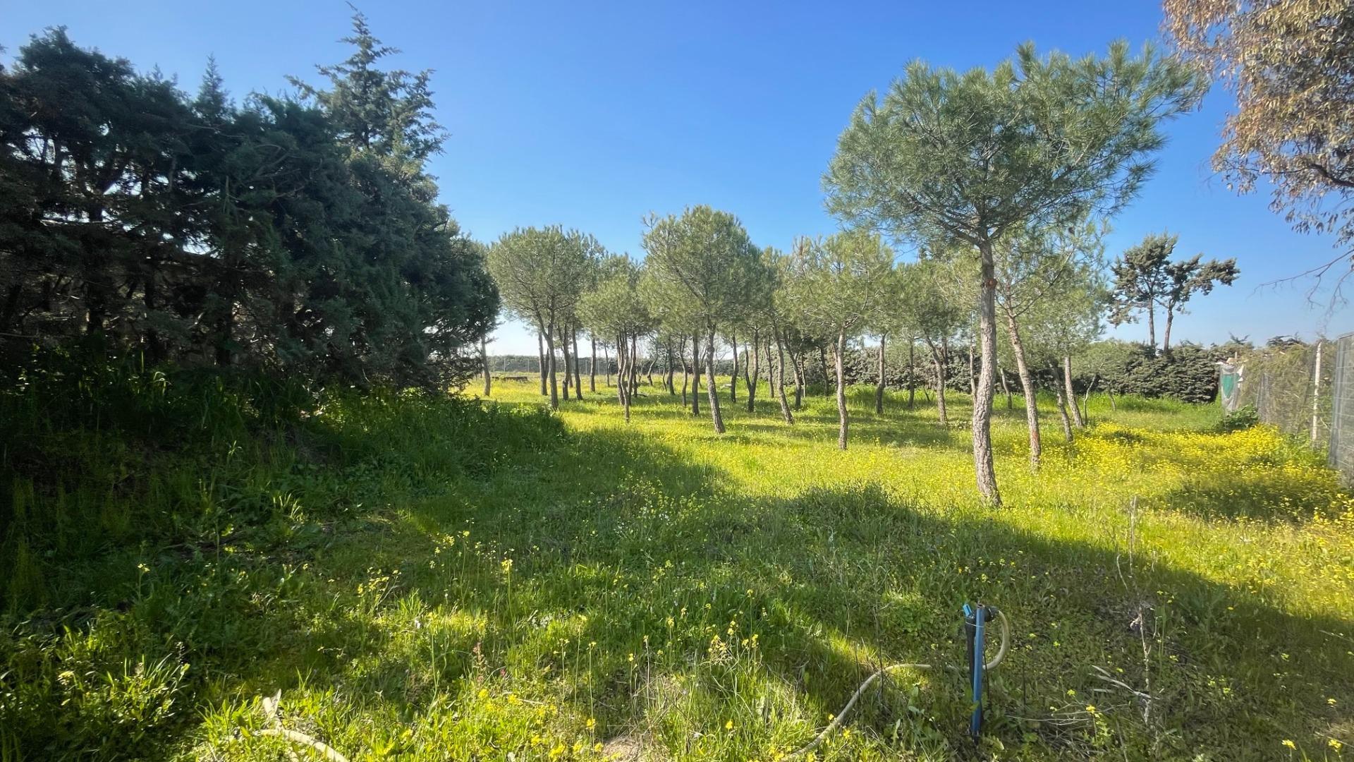 Suelo en alquiler, Leganés, Madrid