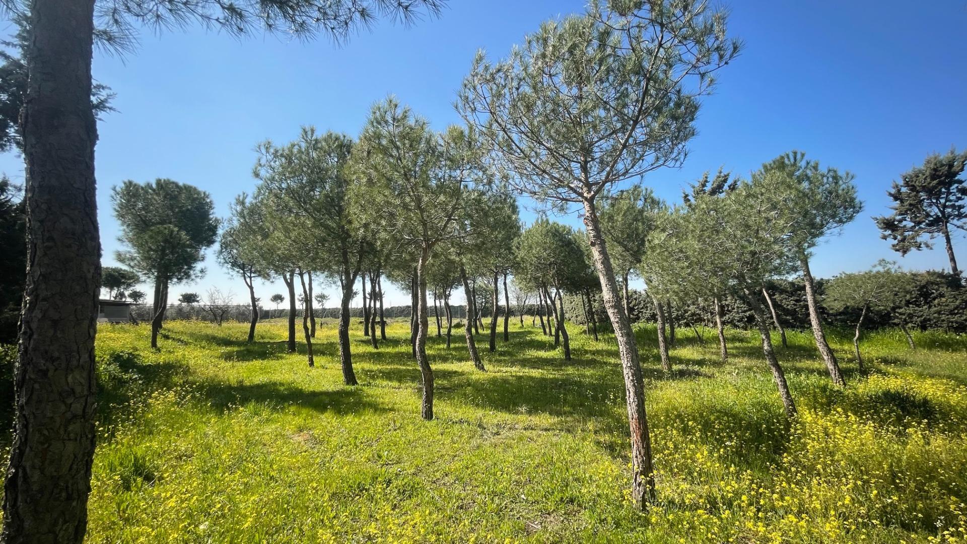 Suelo en alquiler, Leganés, Madrid